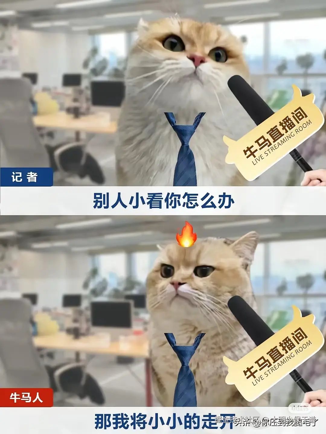 大明少保于谦于2025-04-27 01:32发布的图片