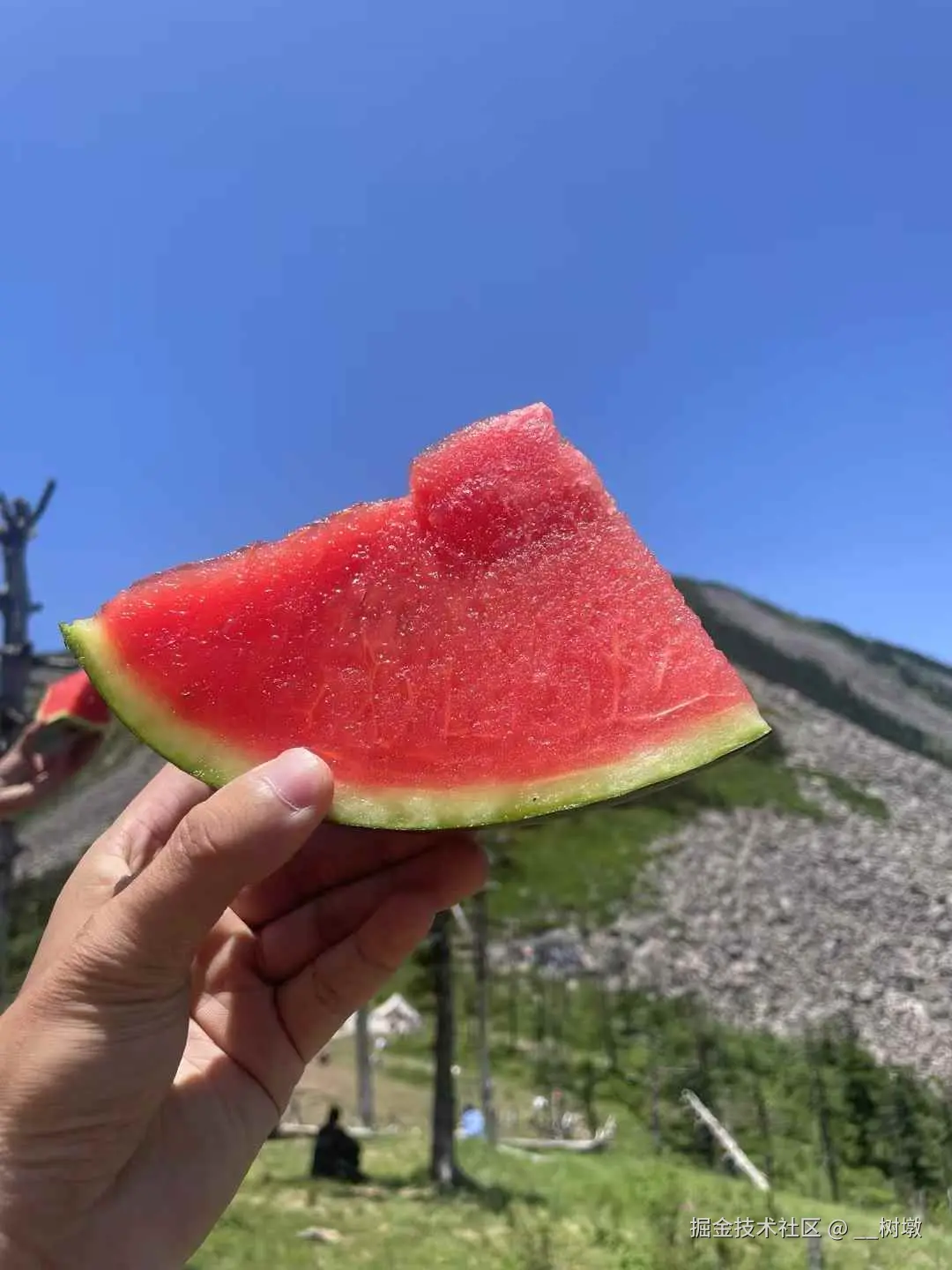 __树墩于2025-06-16 10:33发布的图片