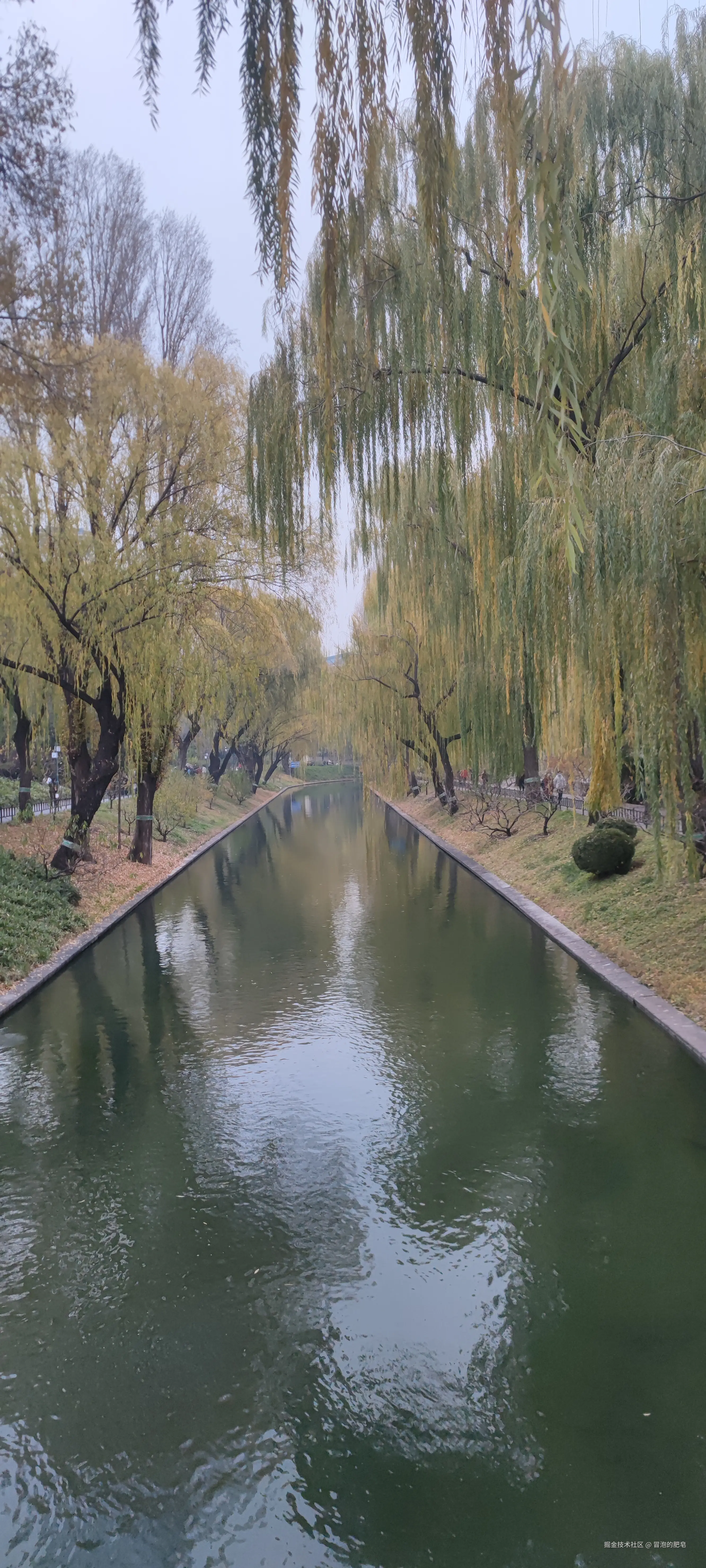 冒泡的肥皂于2024-11-24 16:42发布的图片