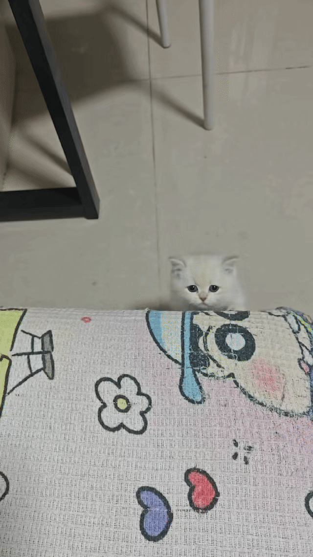 就爱吃火锅于2026-03-23 13:51发布的图片