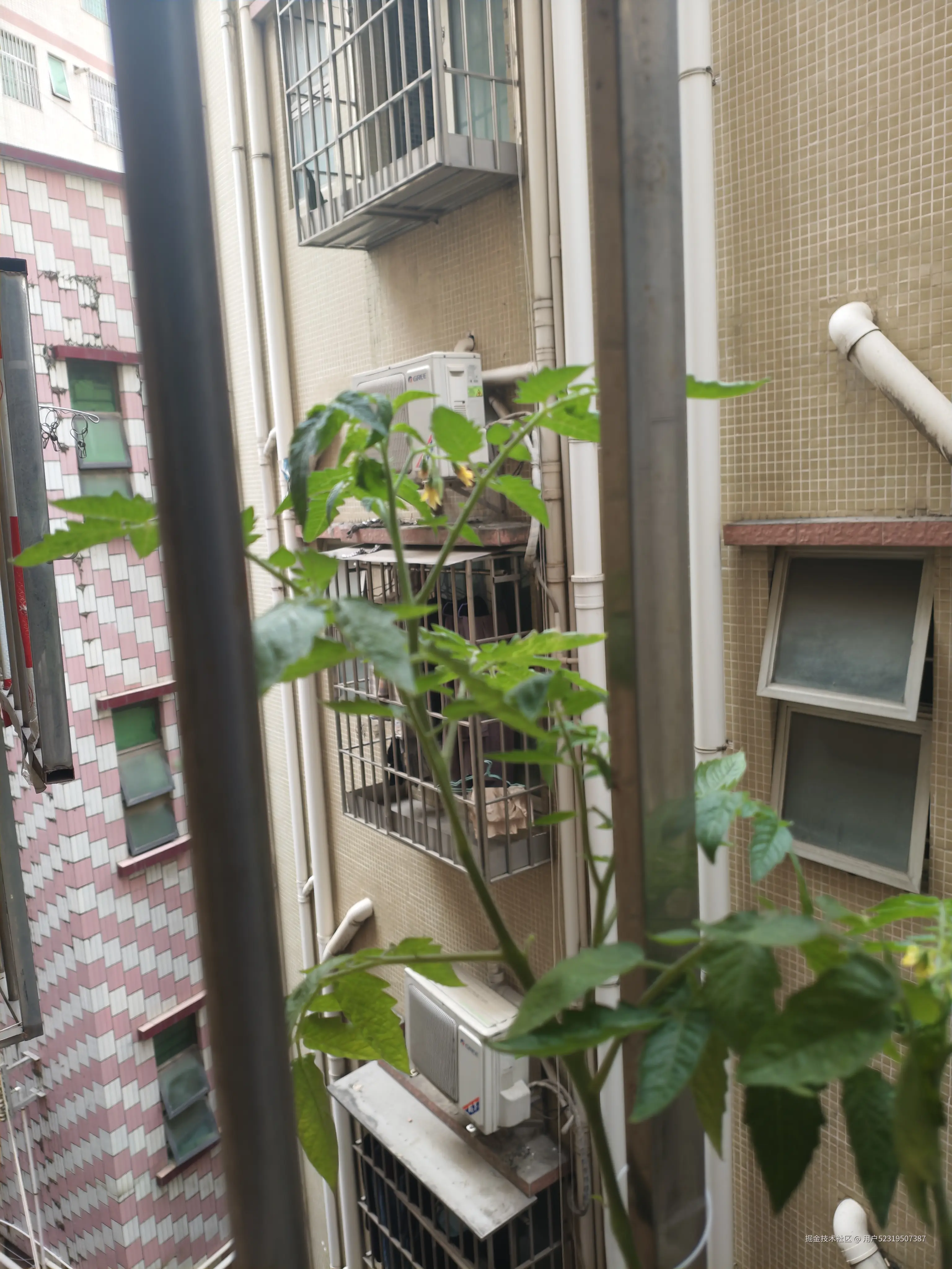 用户52319507387于2026-06-16 15:33发布的图片