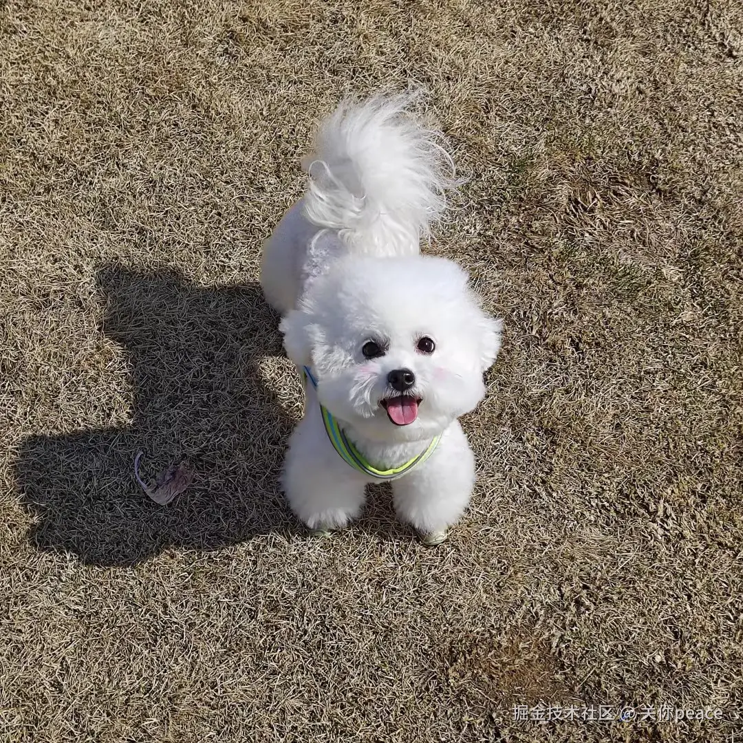 关你peace于2026-04-15 10:23发布的图片