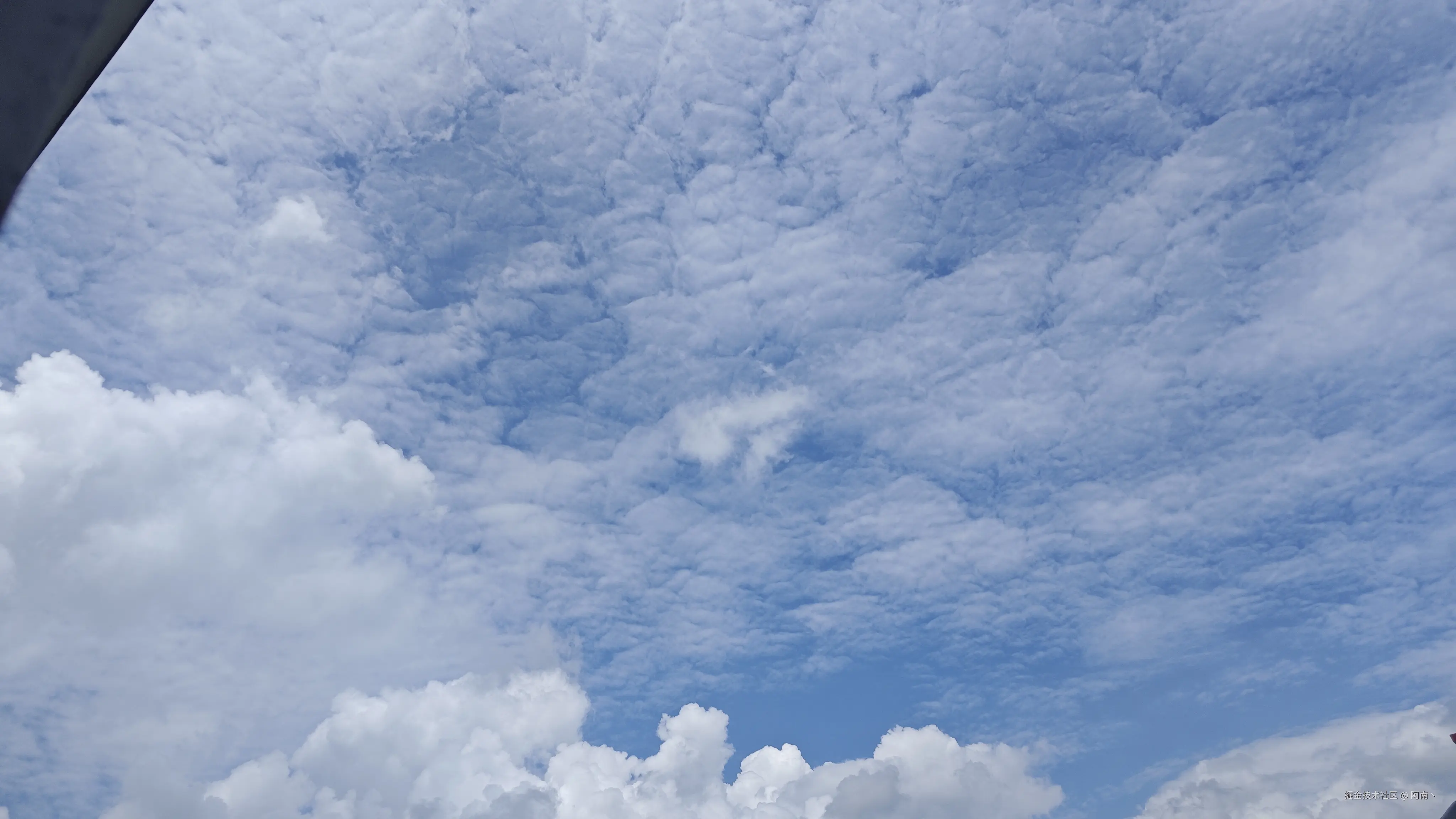 阿南丶于2024-08-18 17:13发布的图片