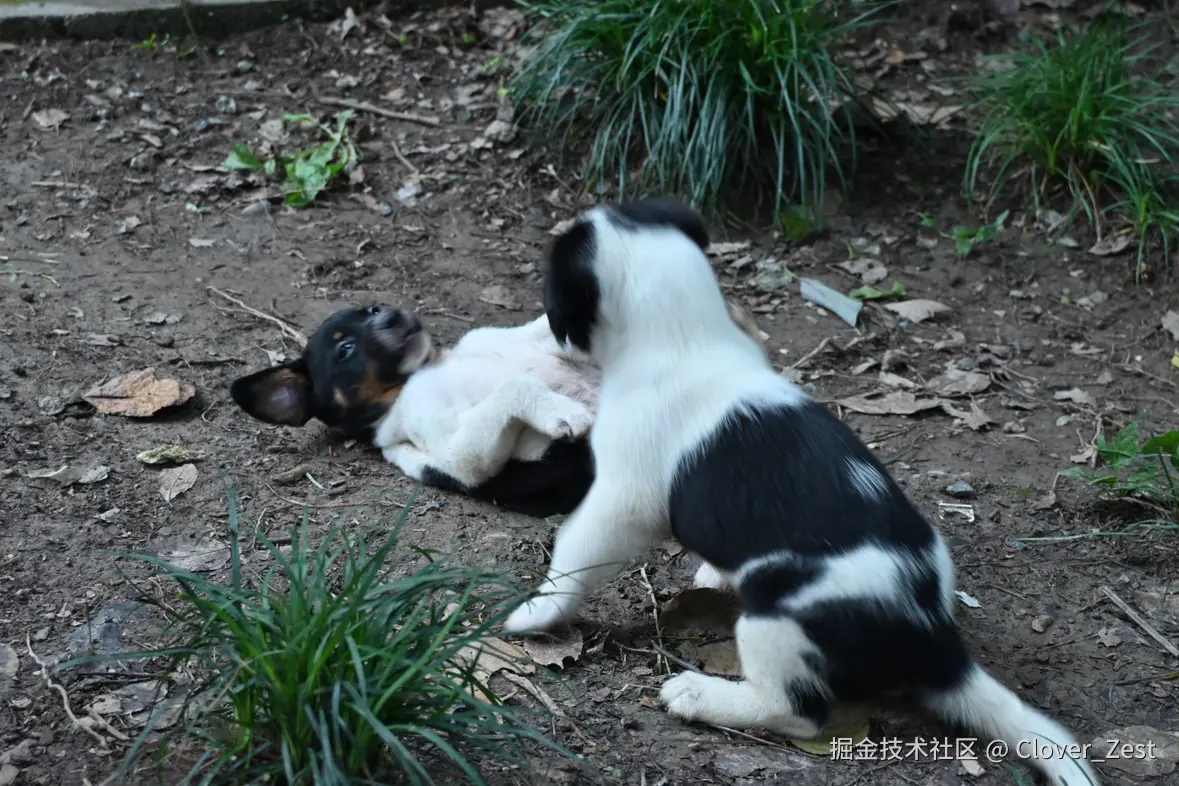 Clover_Zest于2025-07-21 10:37发布的图片