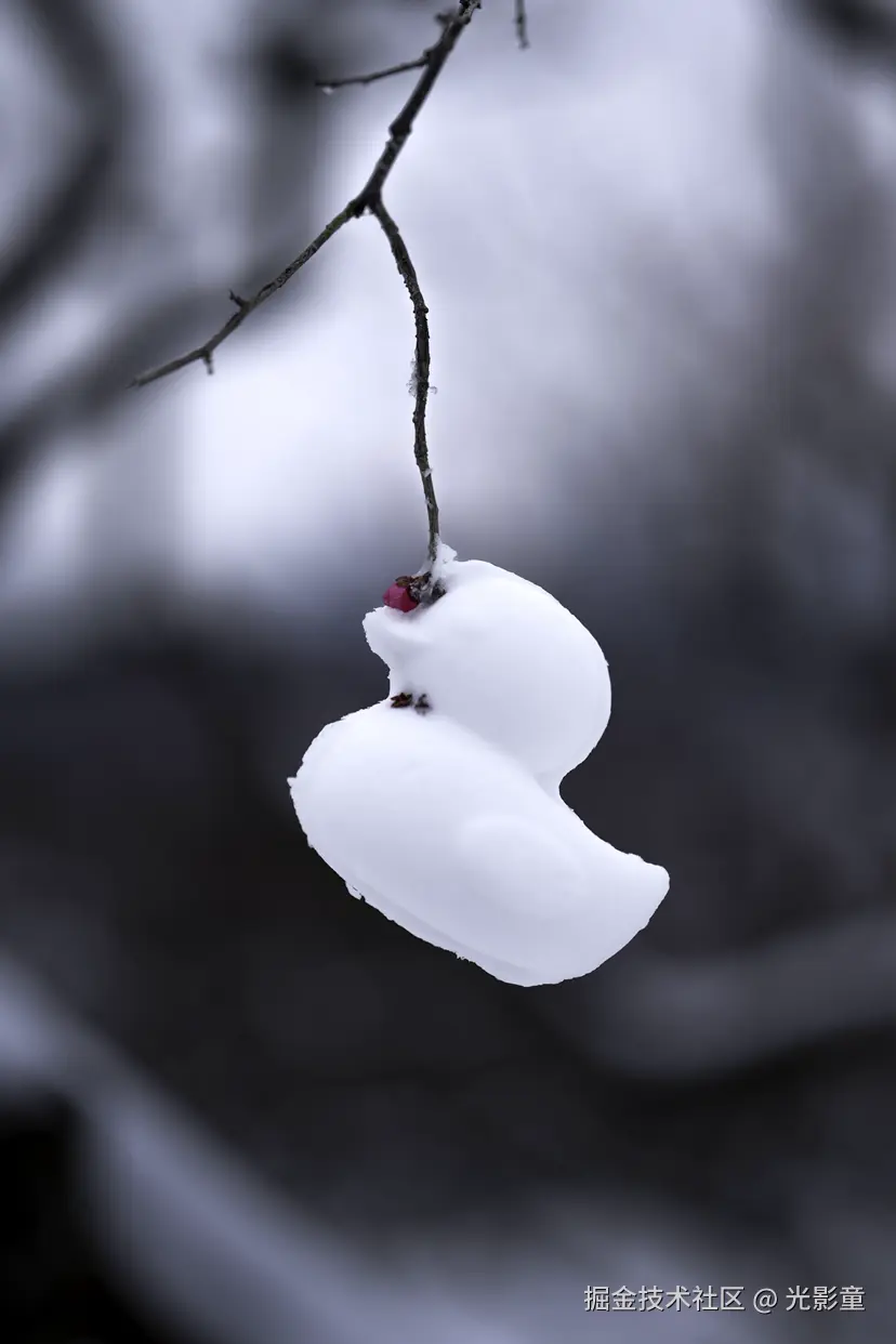 光影童于2026-01-21 11:03发布的图片