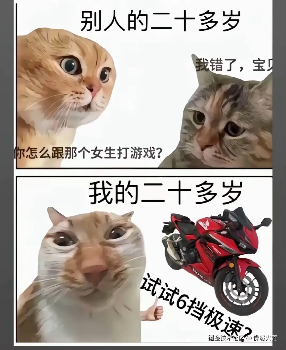 佛怒火莲于2025-06-19 17:06发布的图片