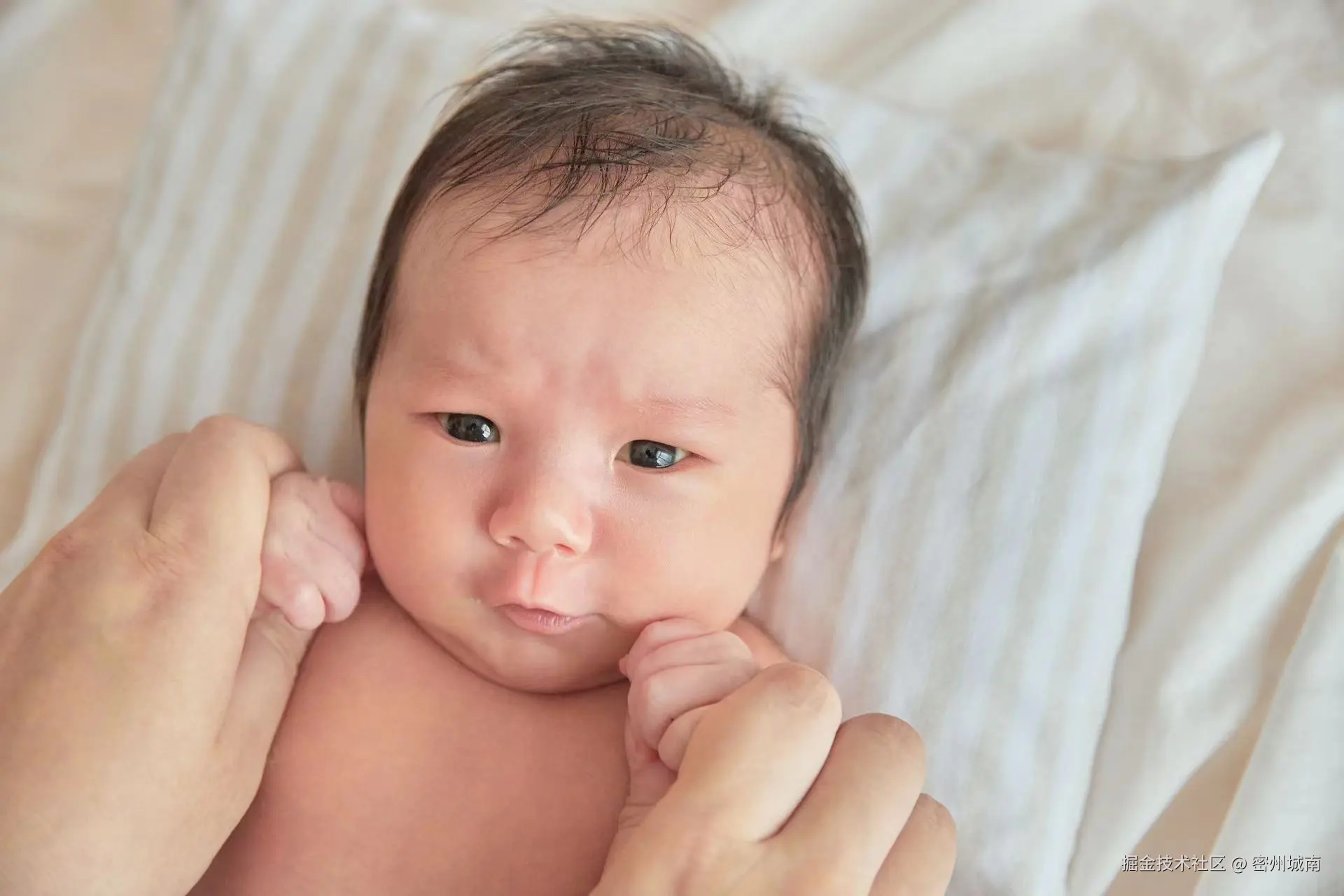 密州城南于2024-08-08 17:20发布的图片