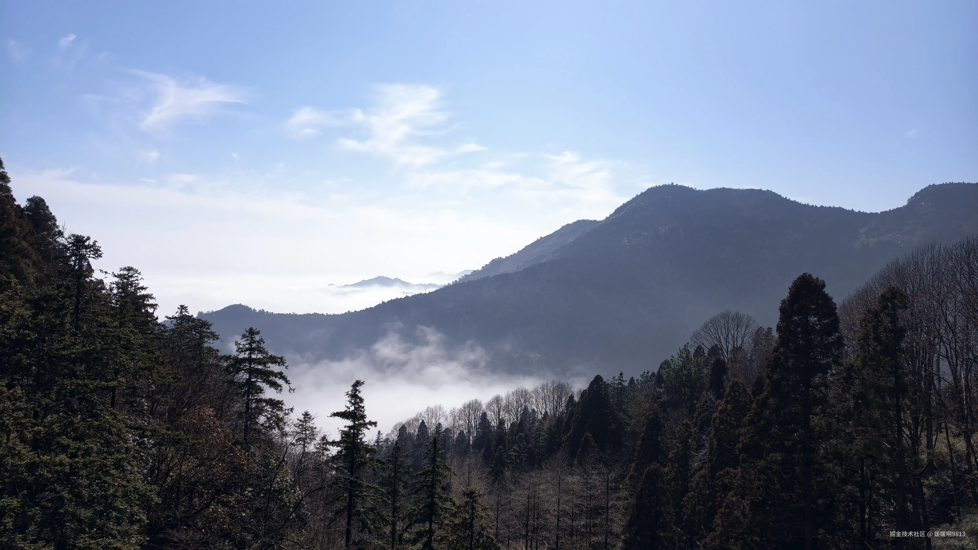 媛媛啊9813于2026-02-21 01:58发布的图片