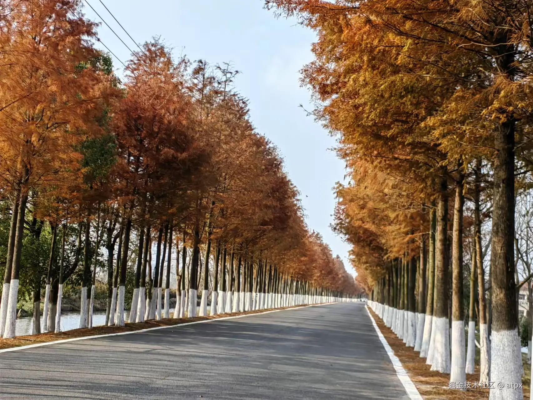 atpx于2024-12-23 11:13发布的图片