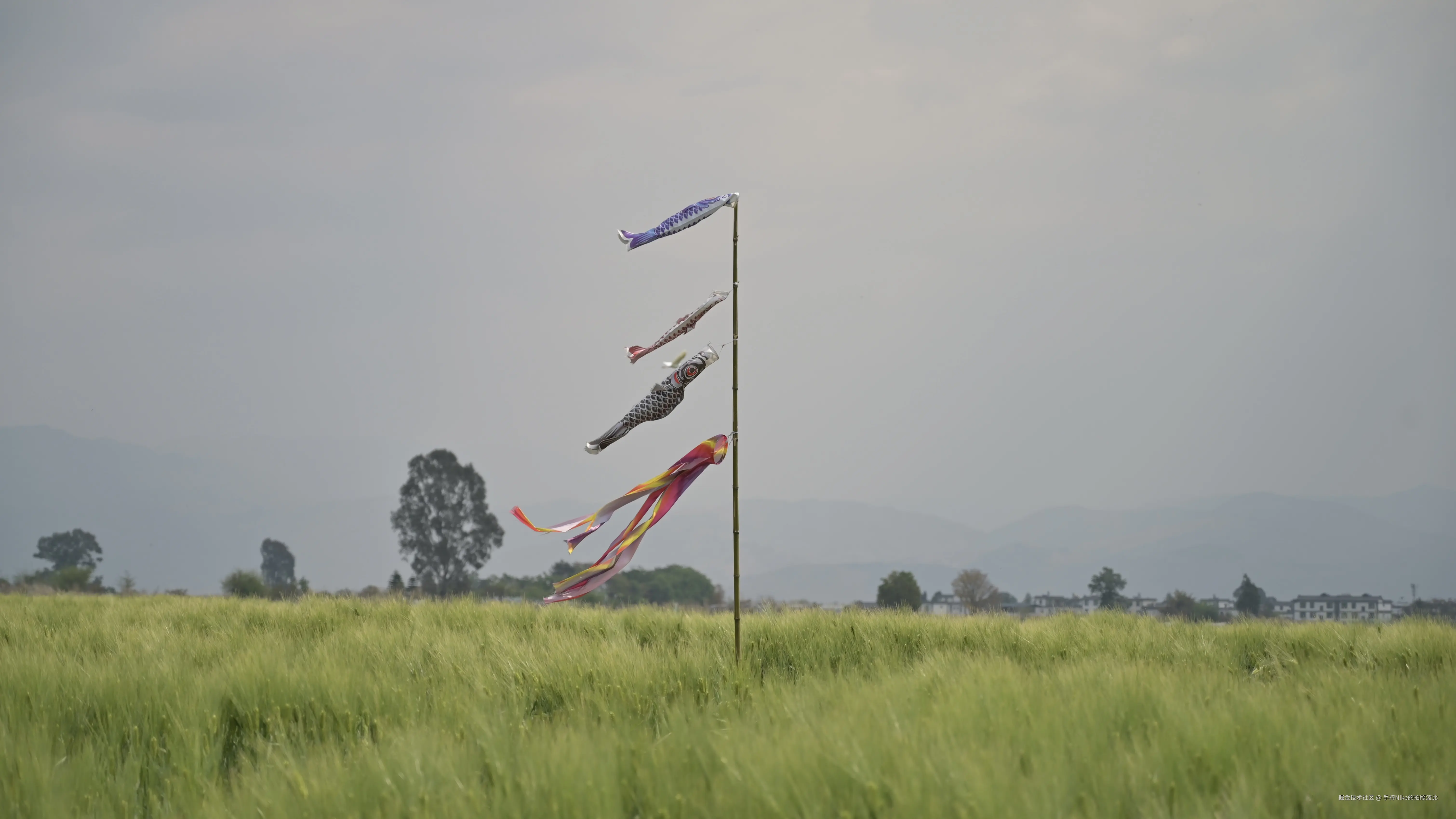 手持Nike的拍照波比于2025-04-07 15:02发布的图片