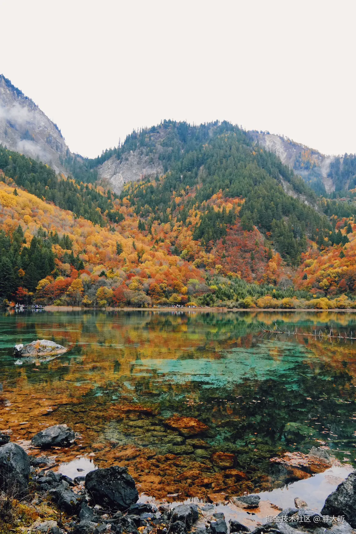 胖大昕于2024-11-05 14:53发布的图片