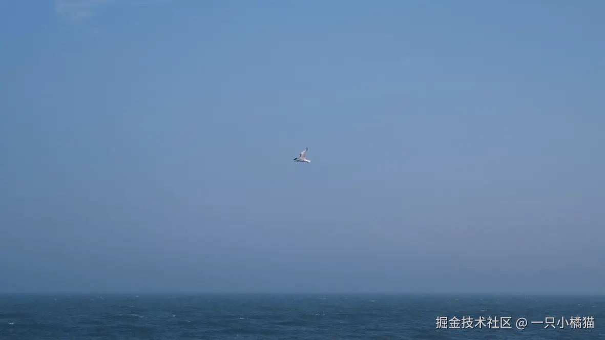 一只小橘猫于2026-08-05 17:43发布的图片