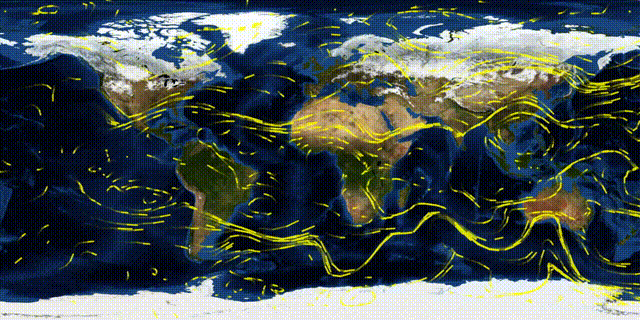 敲敲敲敲暴你脑袋于2024-11-04 12:23发布的图片