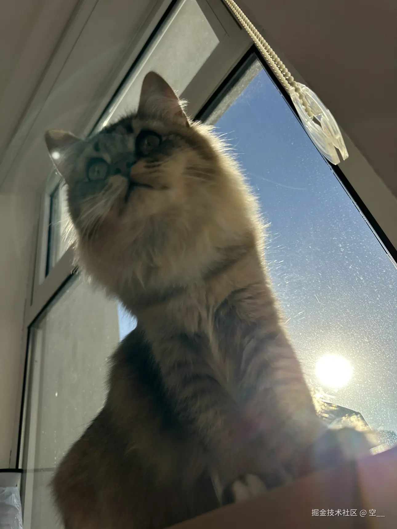 空__于2024-11-29 11:43发布的图片