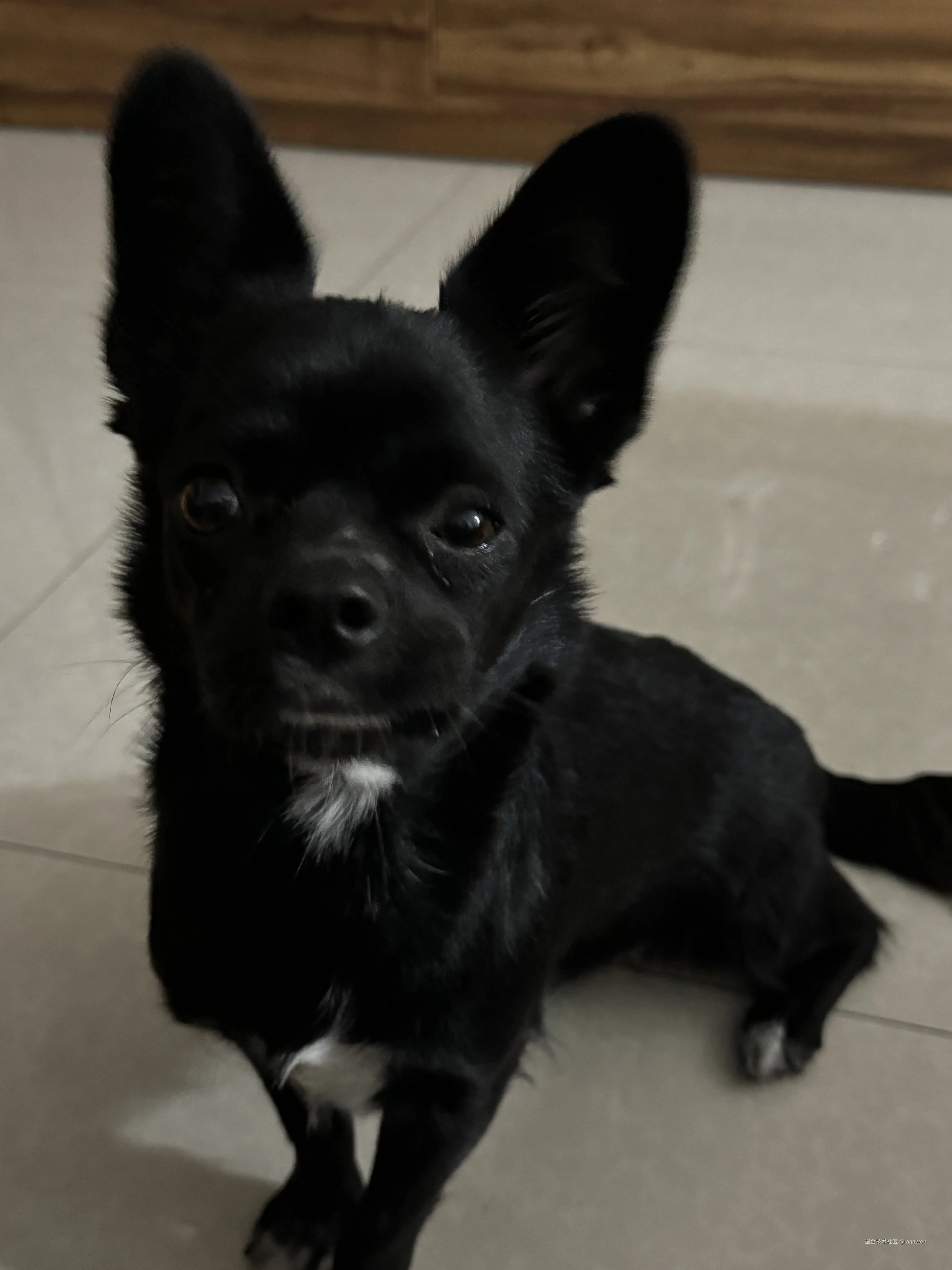 aaawen于2024-11-04 11:49发布的图片