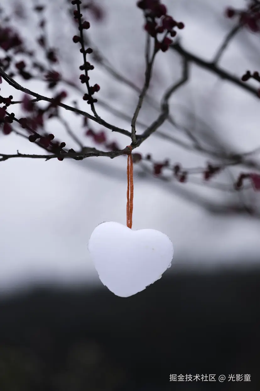 光影童于2026-01-21 11:03发布的图片