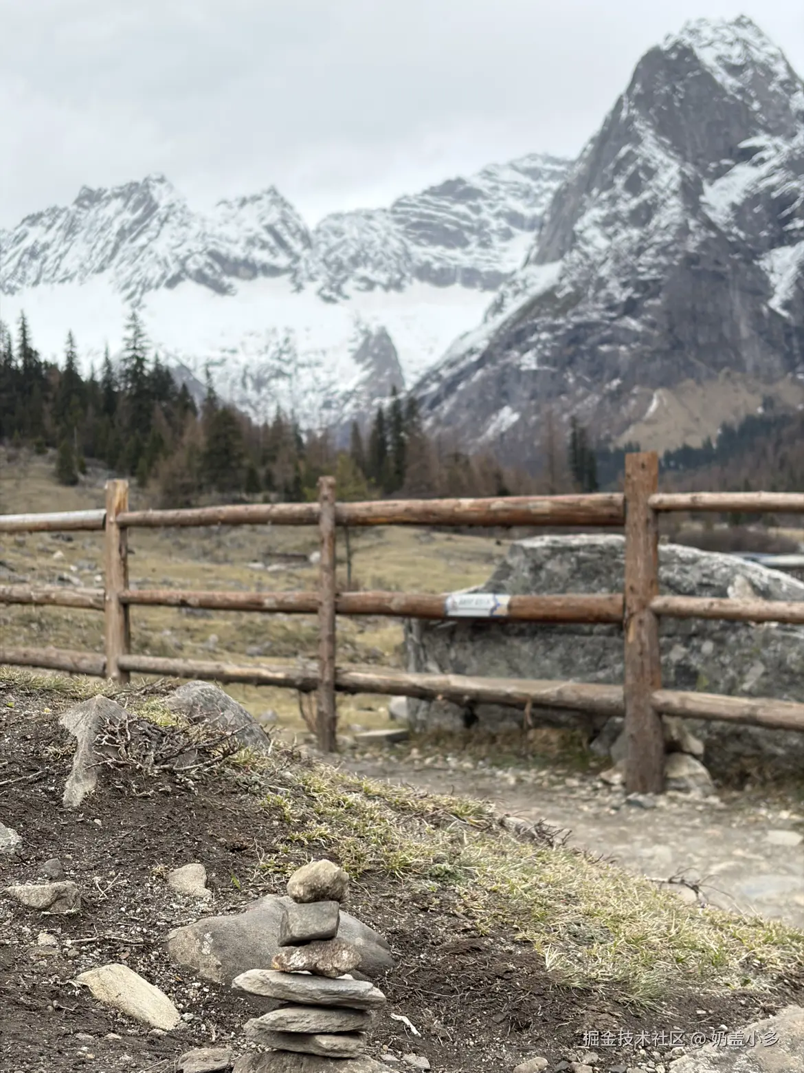 奶盖小多于2026-04-21 16:29发布的图片