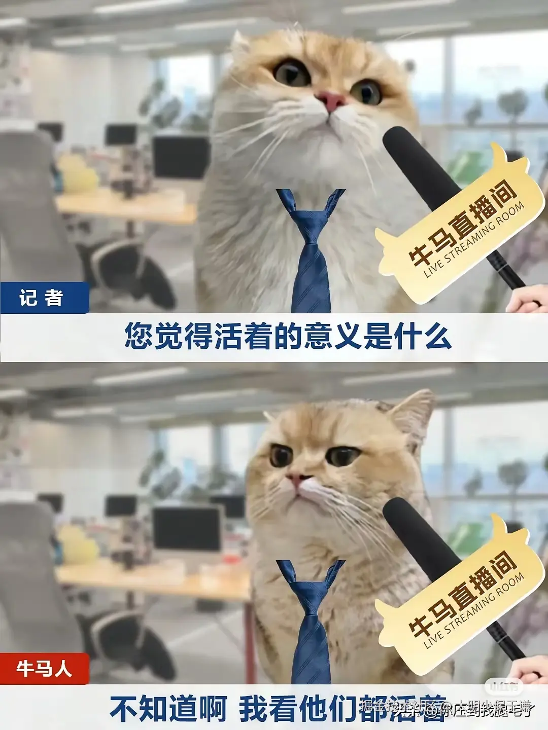 大明少保于谦于2025-04-27 01:32发布的图片