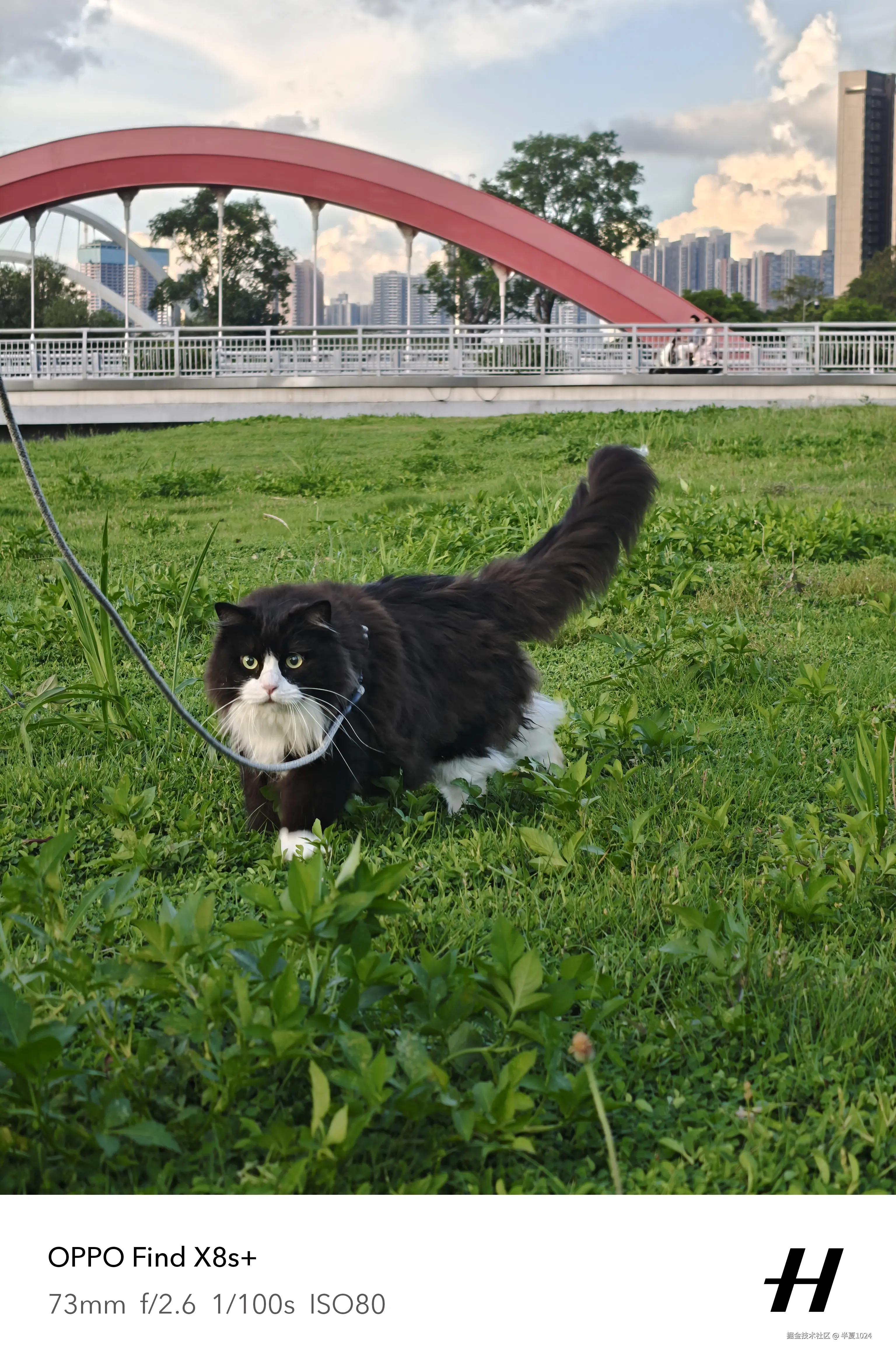 半夏1024于2025-06-23 09:42发布的图片