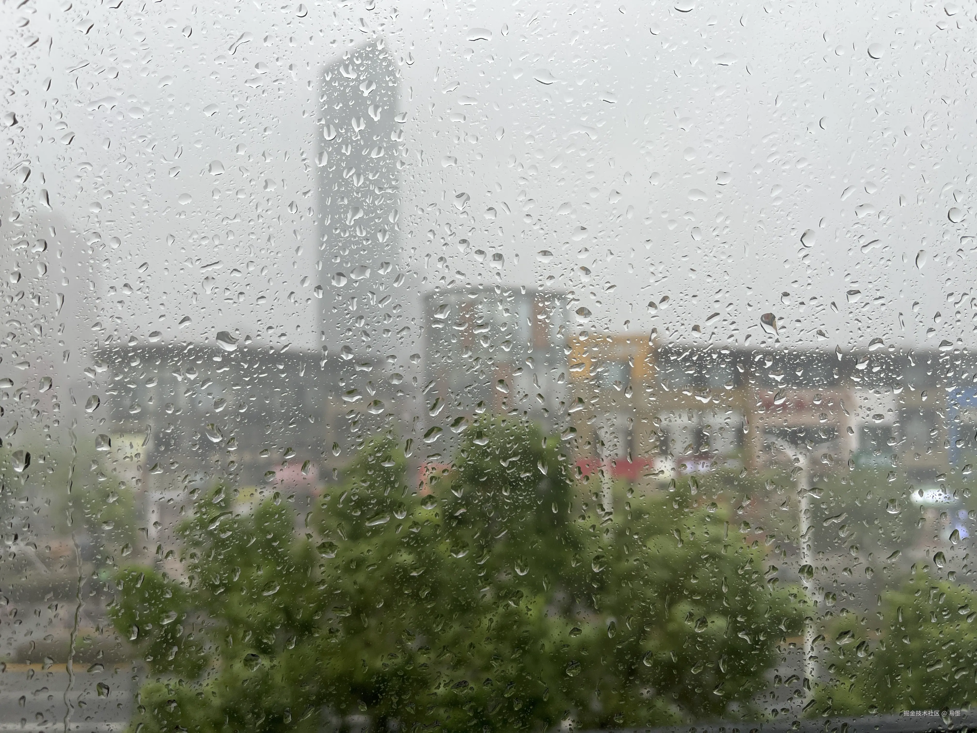 易墨于2024-09-16 11:35发布的图片