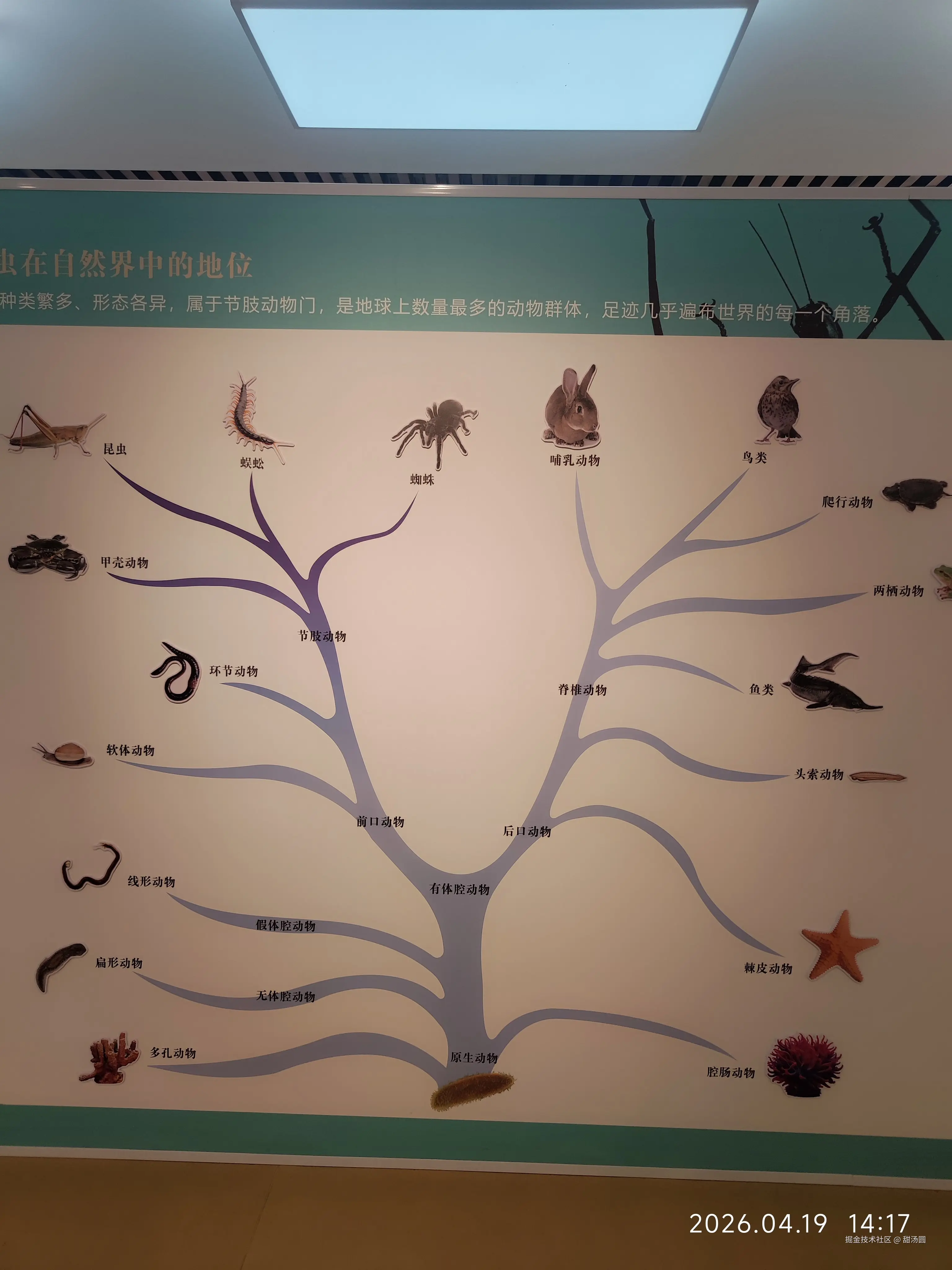 甜汤圆于2026-04-19 14:24发布的图片