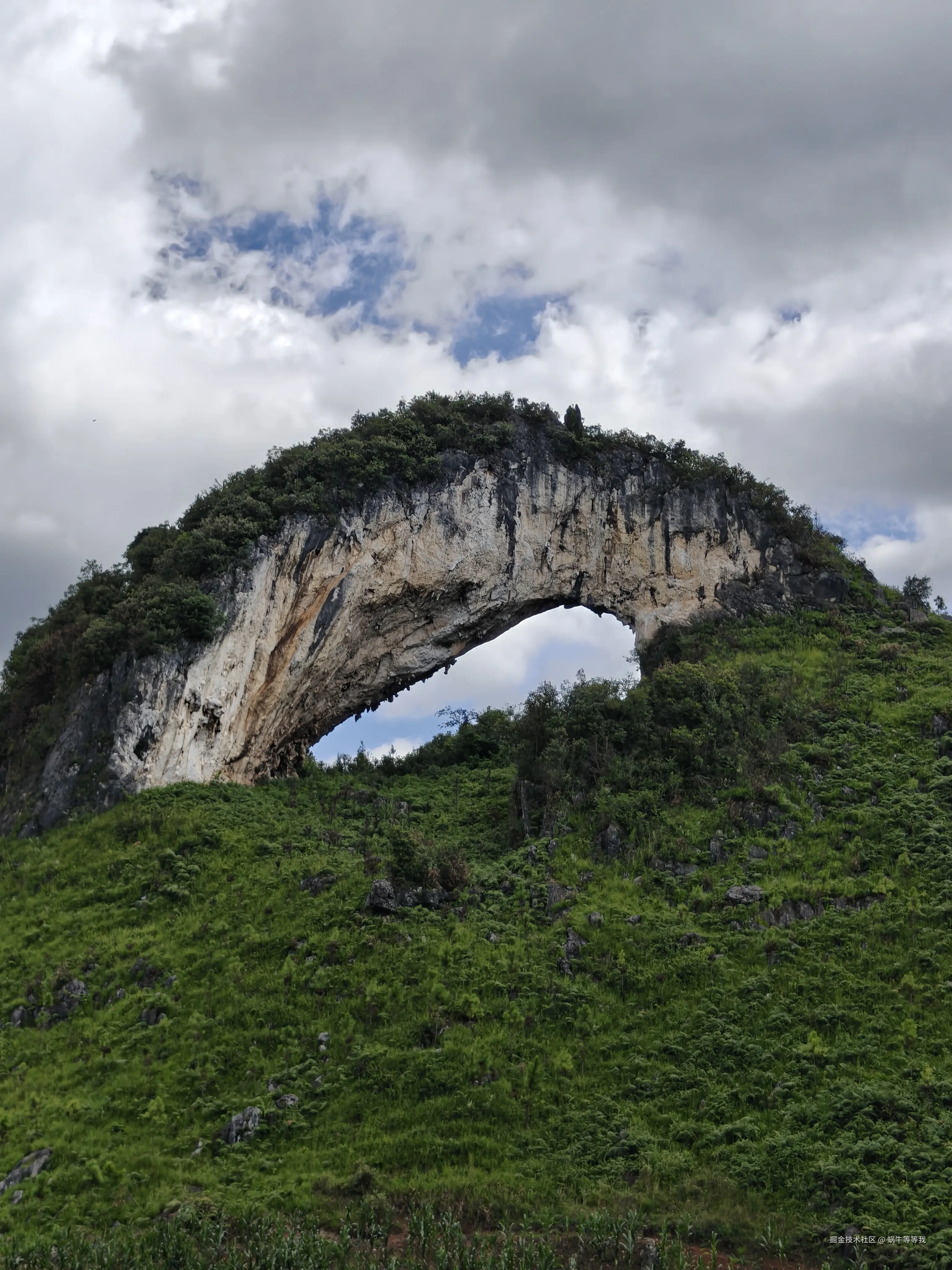 蜗牛等等我于2025-08-25 09:17发布的图片