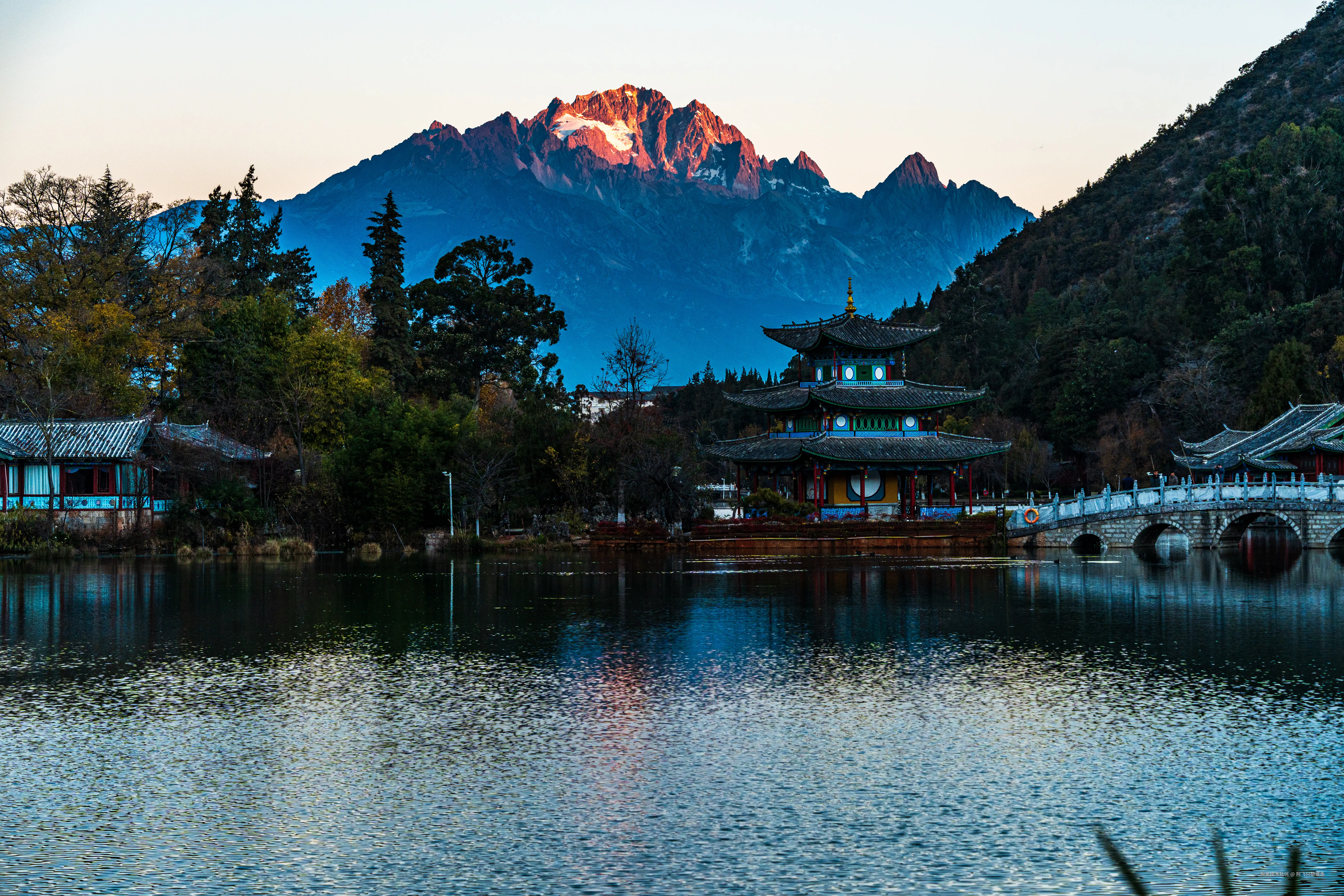 阿飞只想摸鱼于2026-02-11 14:49发布的图片