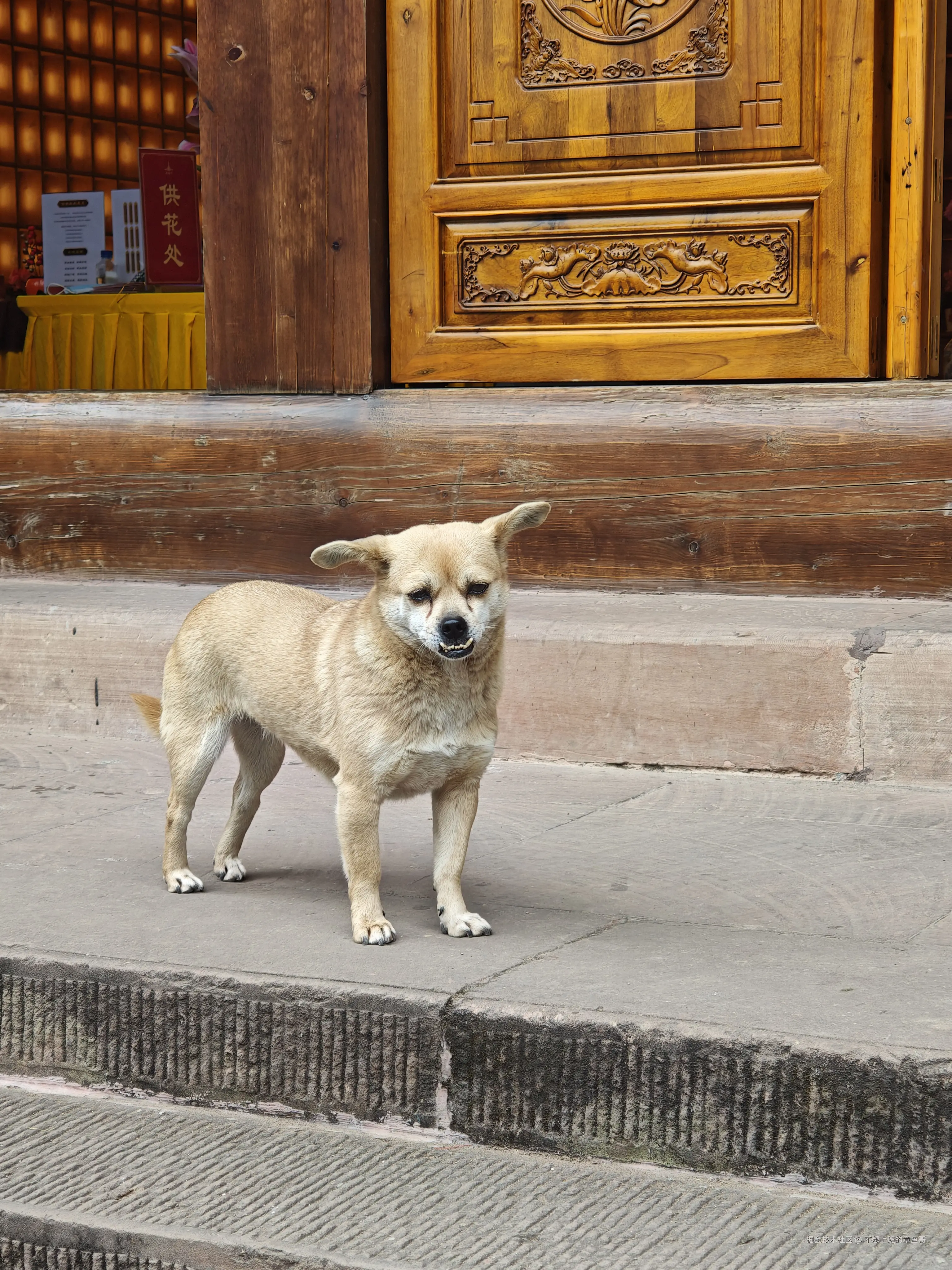 不想上班的章鱼哥于2025-04-21 09:15发布的图片