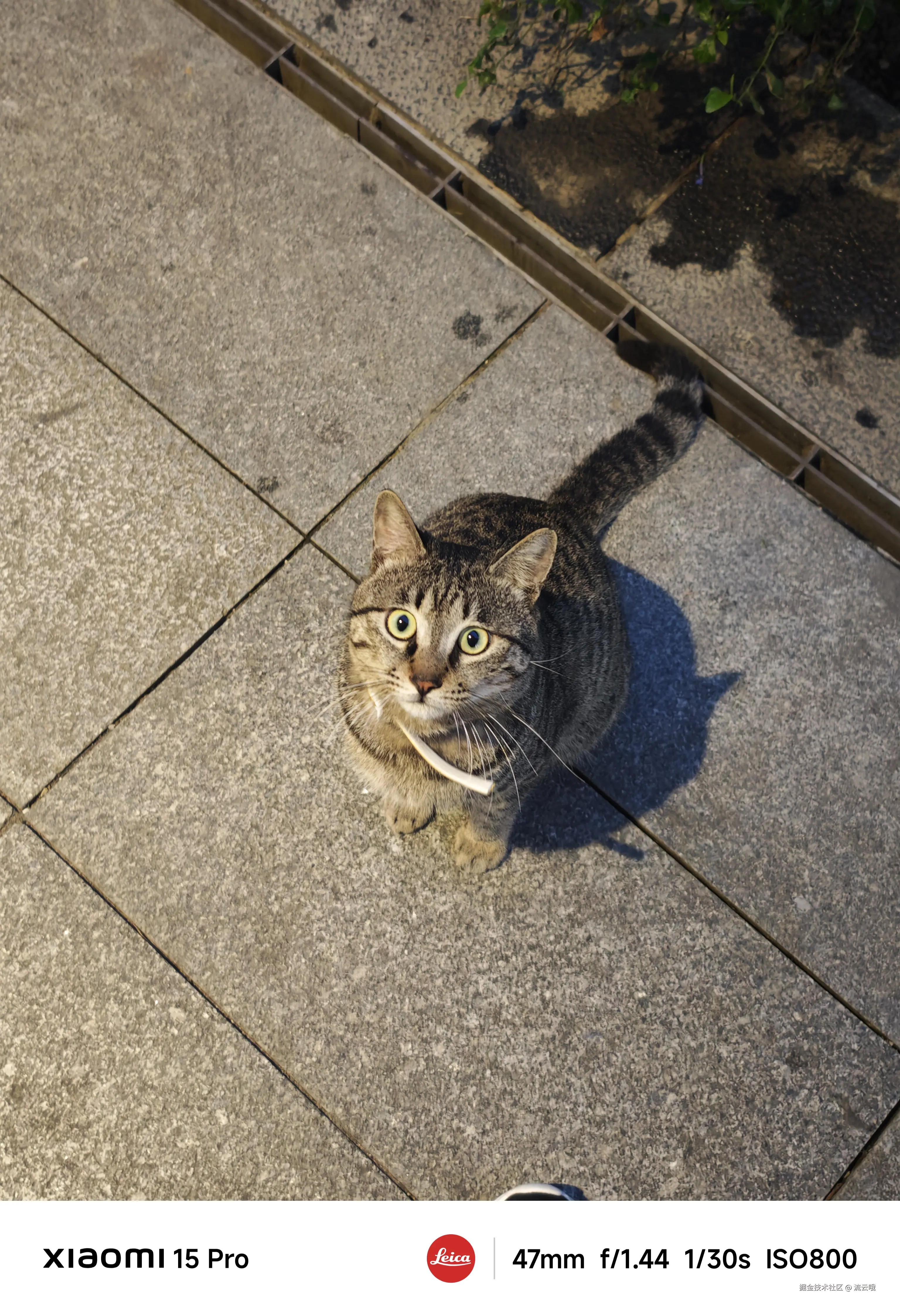 流云哦于2024-11-29 14:33发布的图片