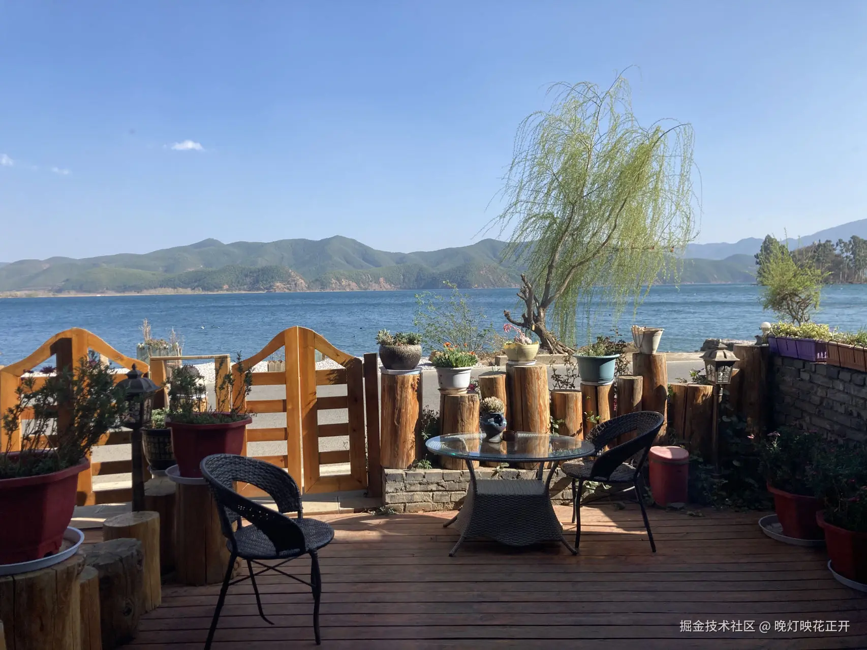 晚灯映花正开于2024-09-10 11:50发布的图片