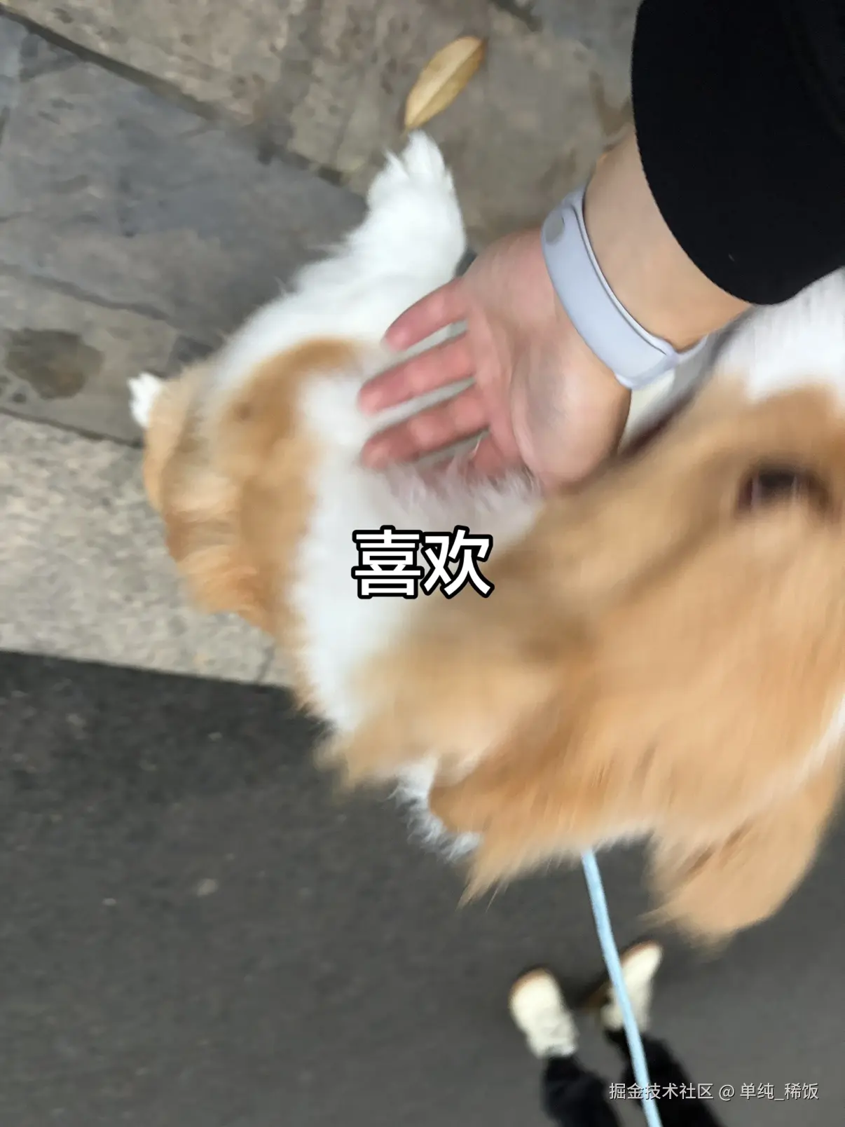 单纯_稀饭于2026-03-31 08:18发布的图片