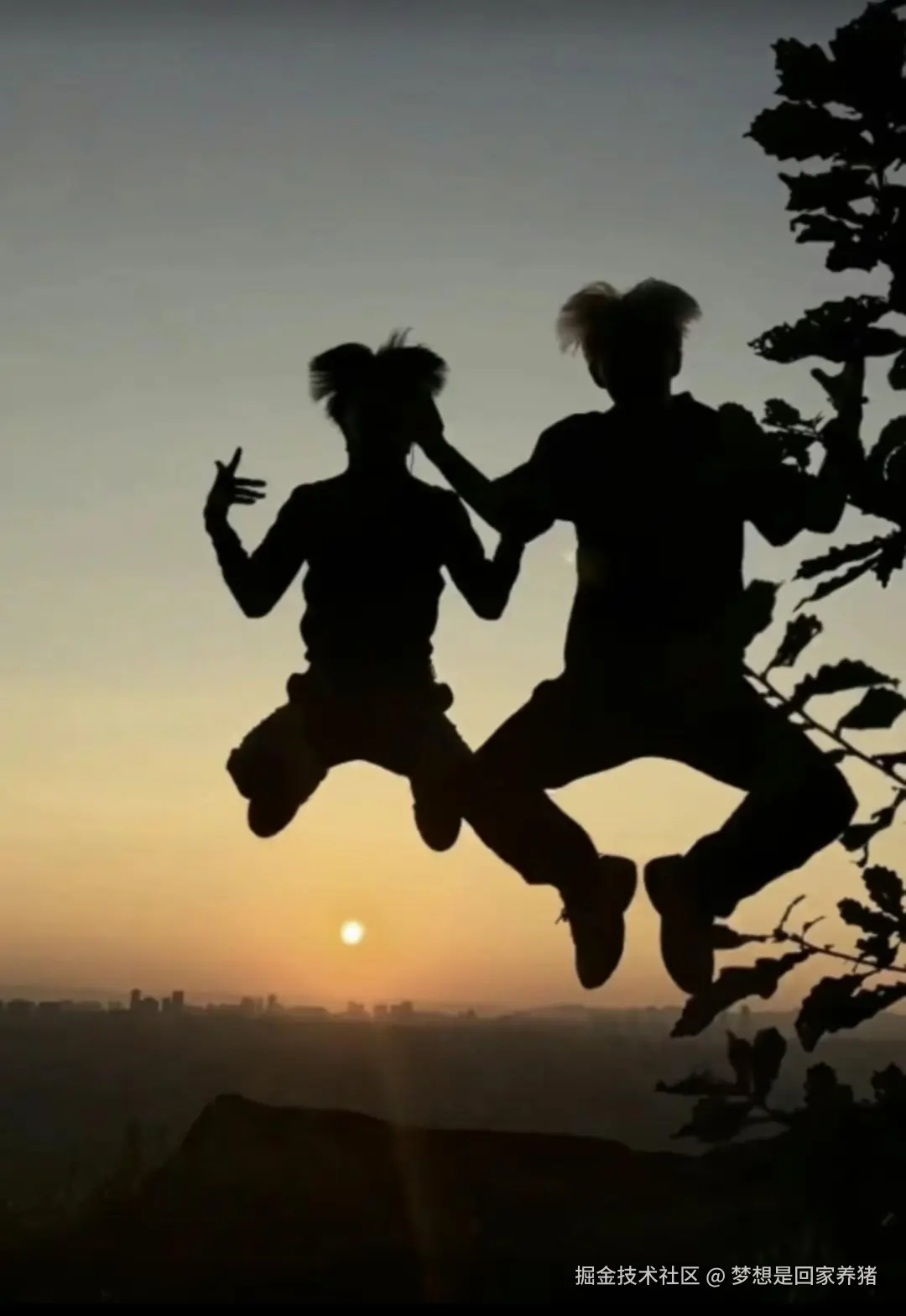 梦想是回家养猪于2025-07-29 13:05发布的图片