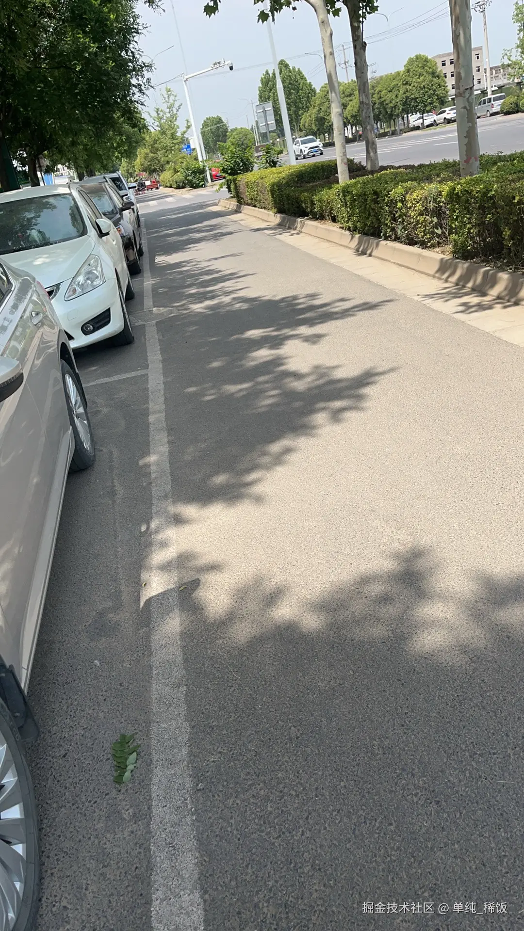 单纯_稀饭于2025-05-21 11:21发布的图片