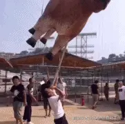 德育处主任于2024-09-14 16:16发布的图片