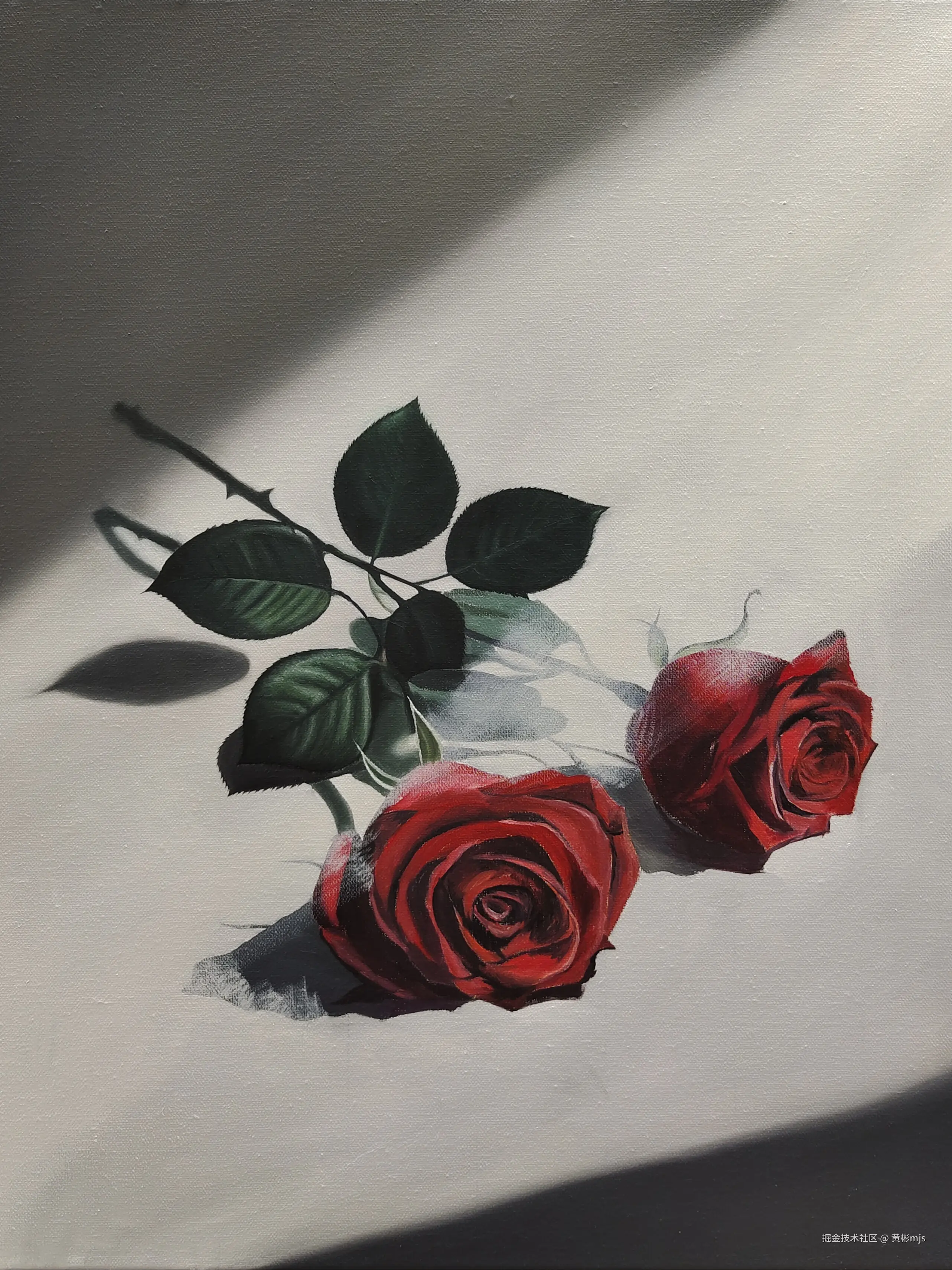 黄彬mjs于2024-12-05 08:25发布的图片