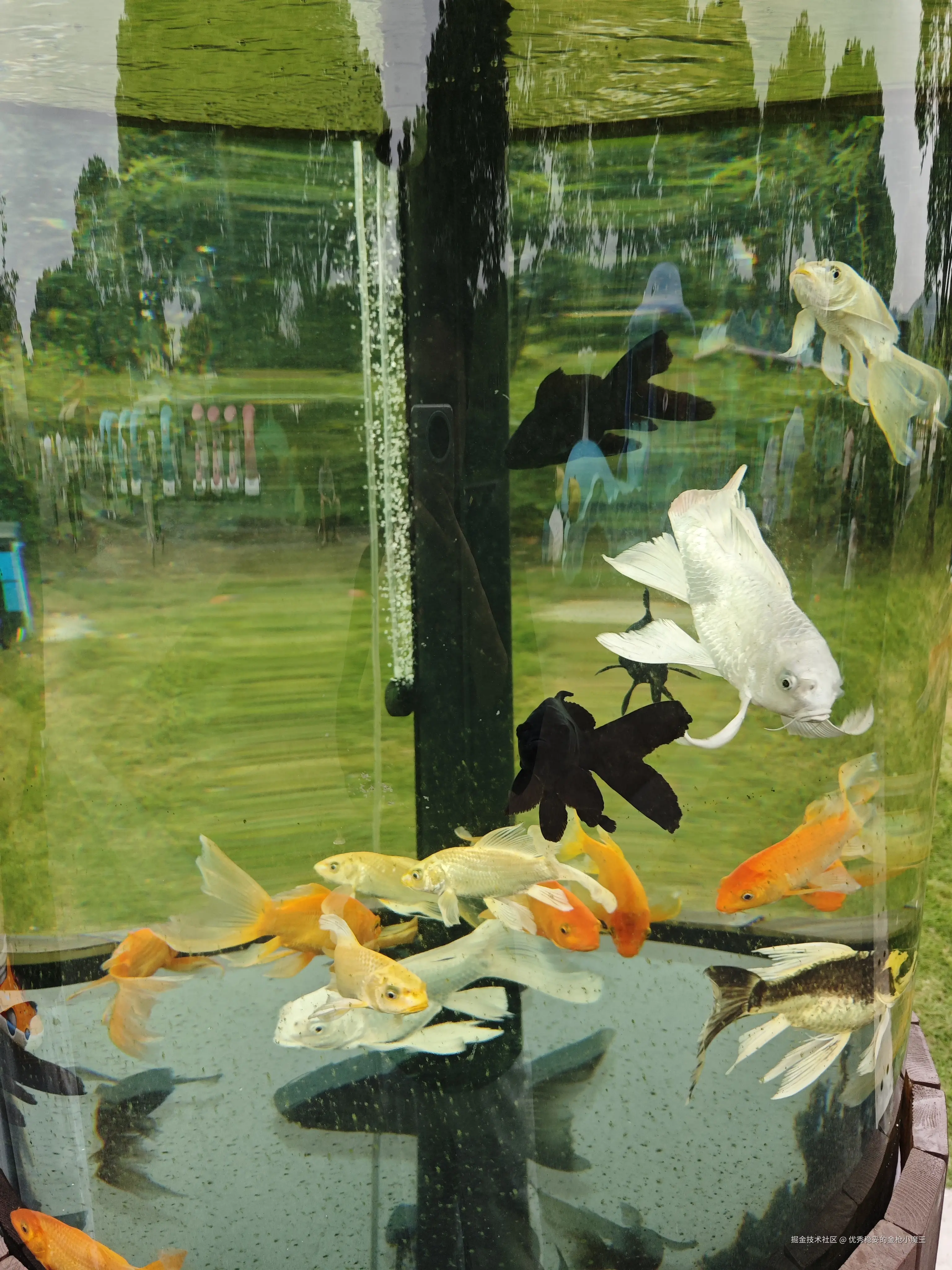 优秀稳妥的金枪小魔王于2025-09-23 09:57发布的图片