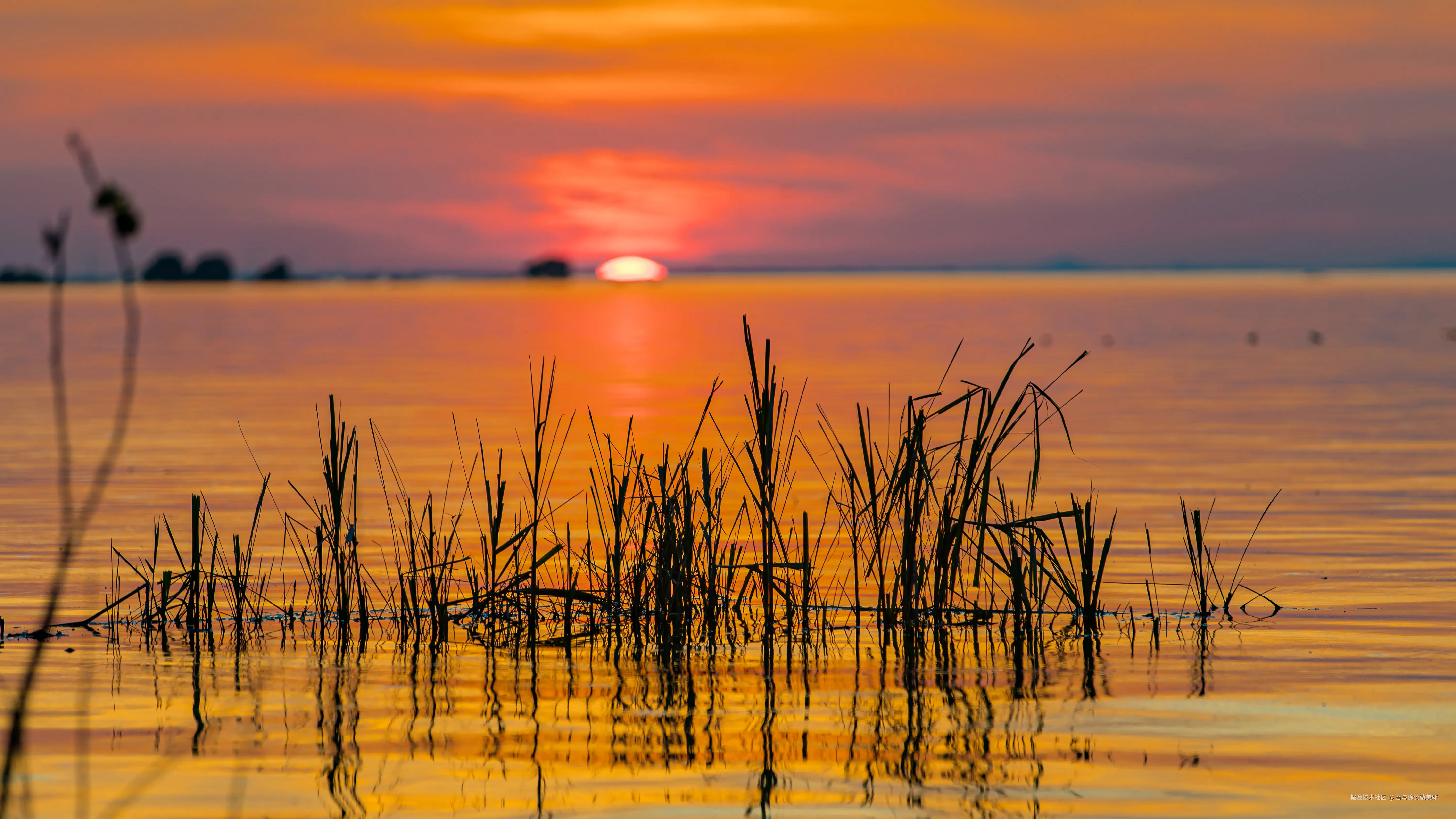 吾与徐公孰美耶于2024-07-24 16:12发布的图片