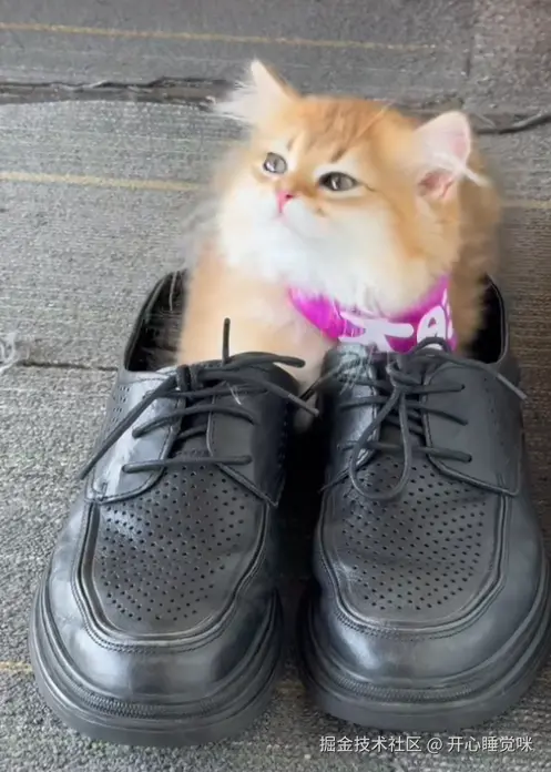 开心睡觉咪于2025-08-14 07:13发布的图片