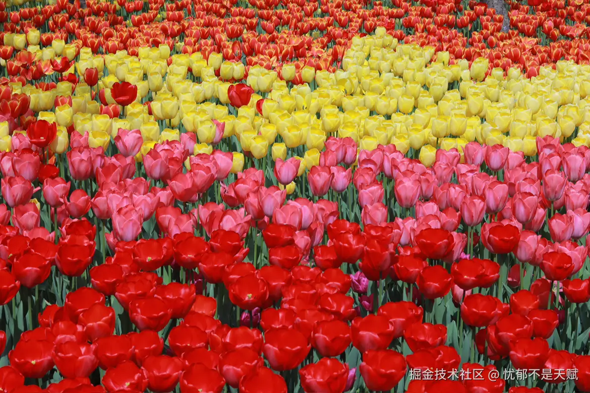 忧郁不是天赋于2025-03-11 15:47发布的图片