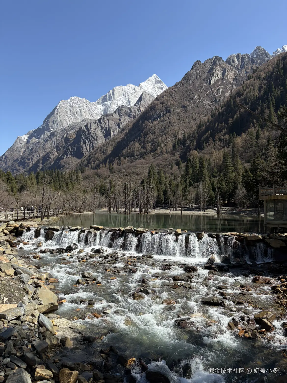 奶盖小多于2026-04-22 15:52发布的图片