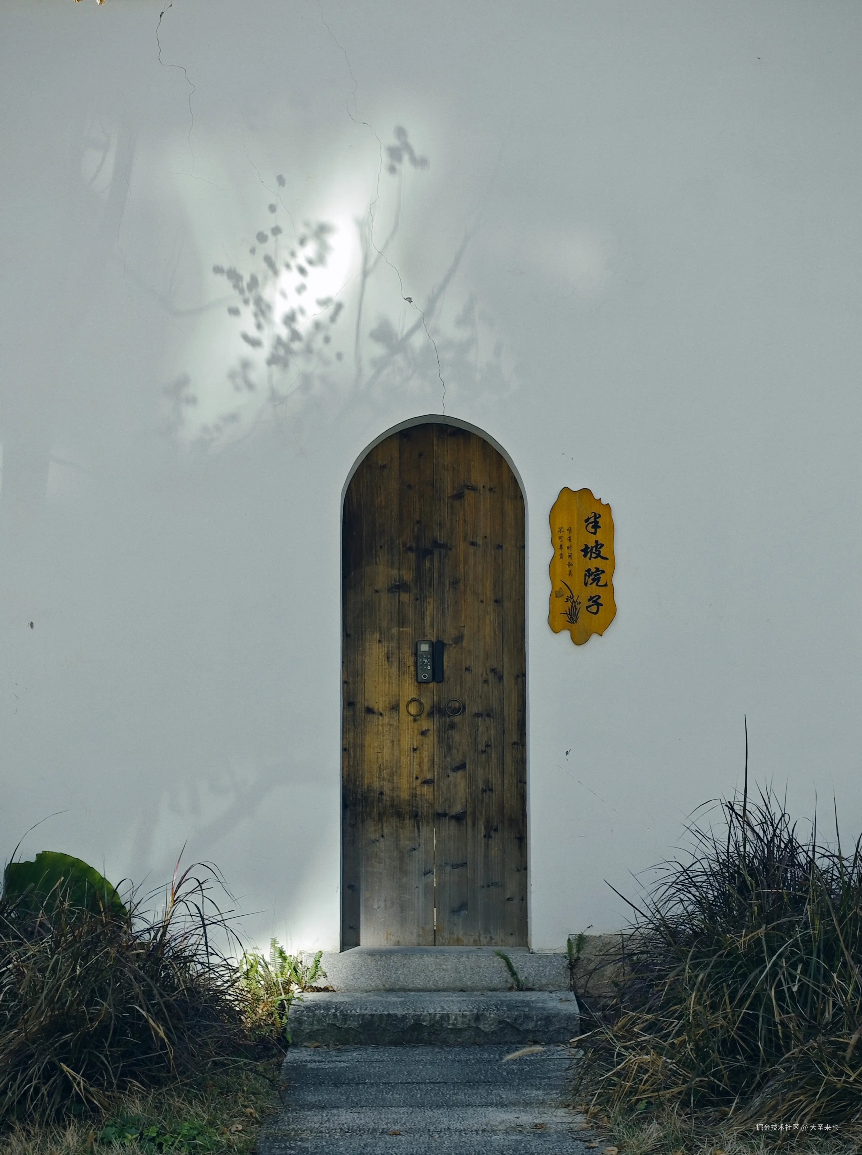 大圣来也于2026-03-16 09:11发布的图片