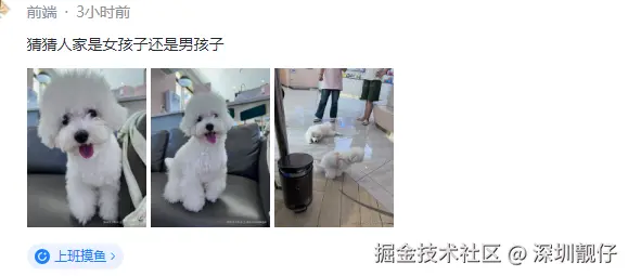 深圳靓仔于2024-08-29 14:10发布的图片