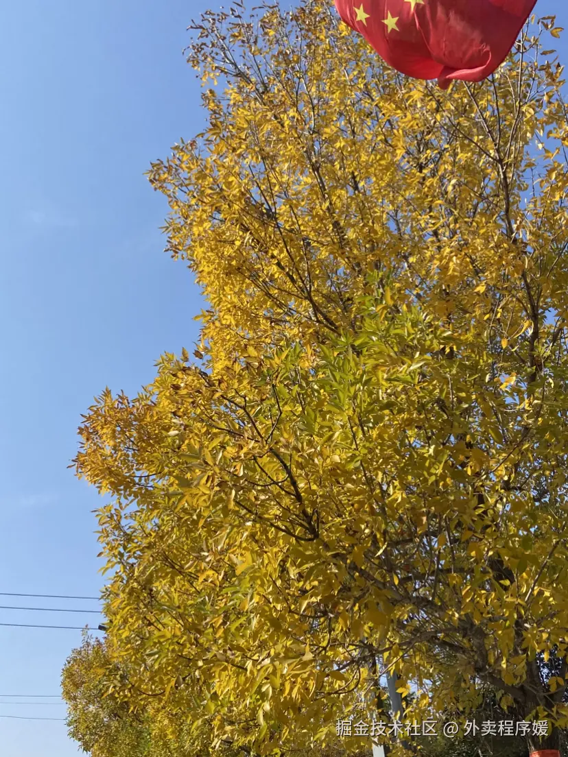 外卖程序媛于2025-11-03 13:13发布的图片