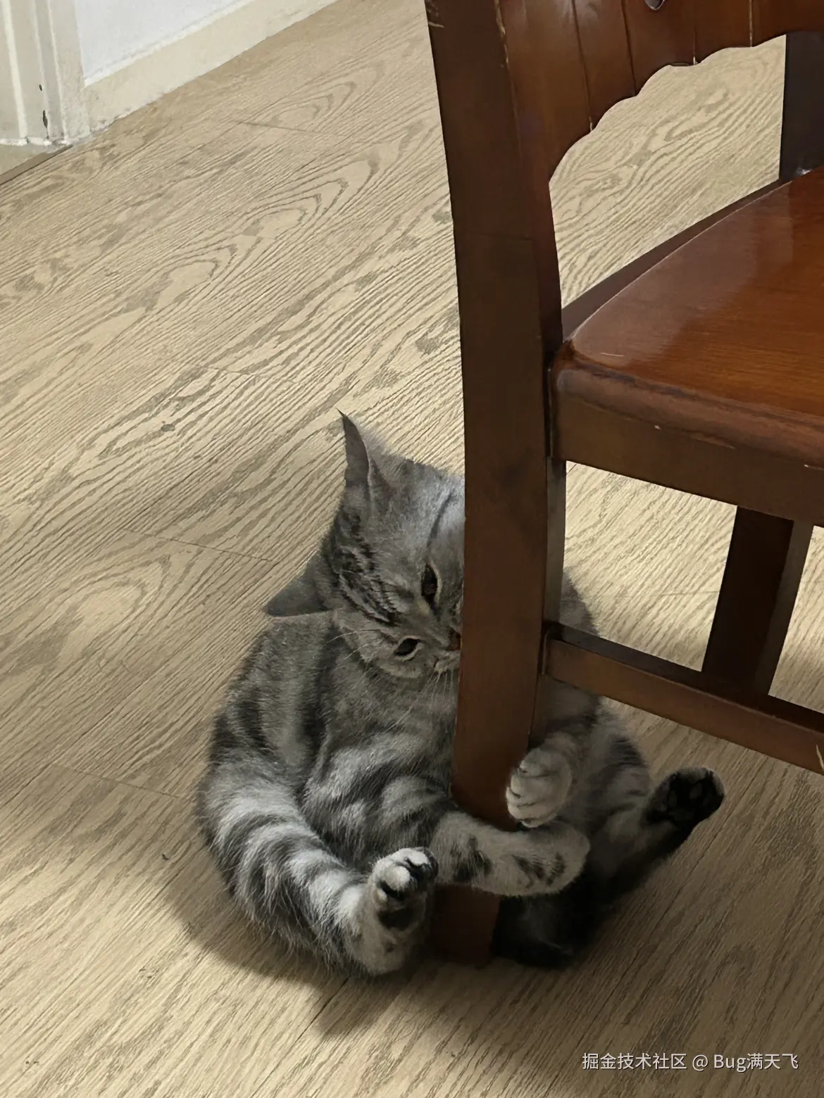 Bug满天飞于2024-09-21 08:05发布的图片