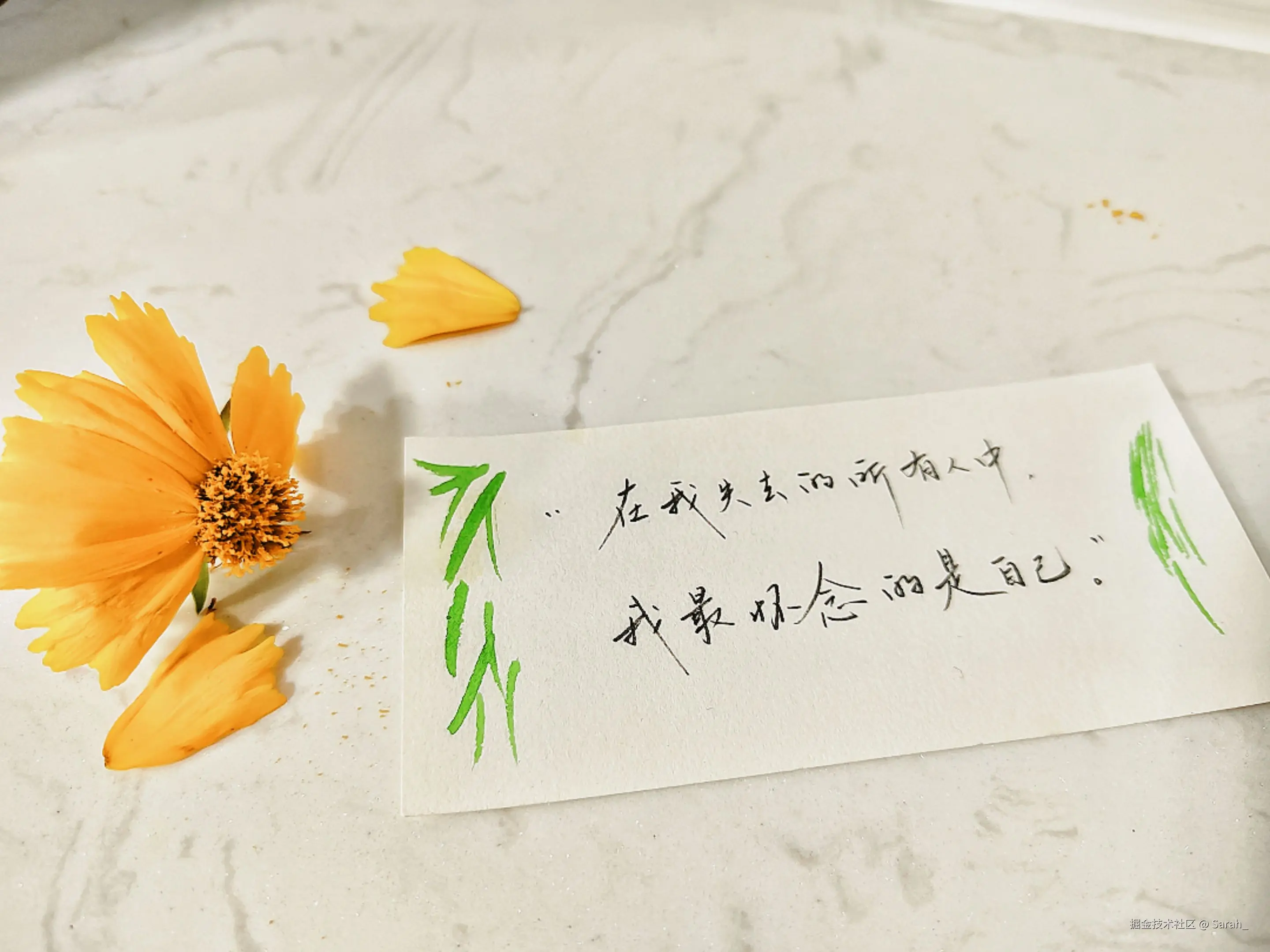 Sarah_于2025-05-28 08:33发布的图片