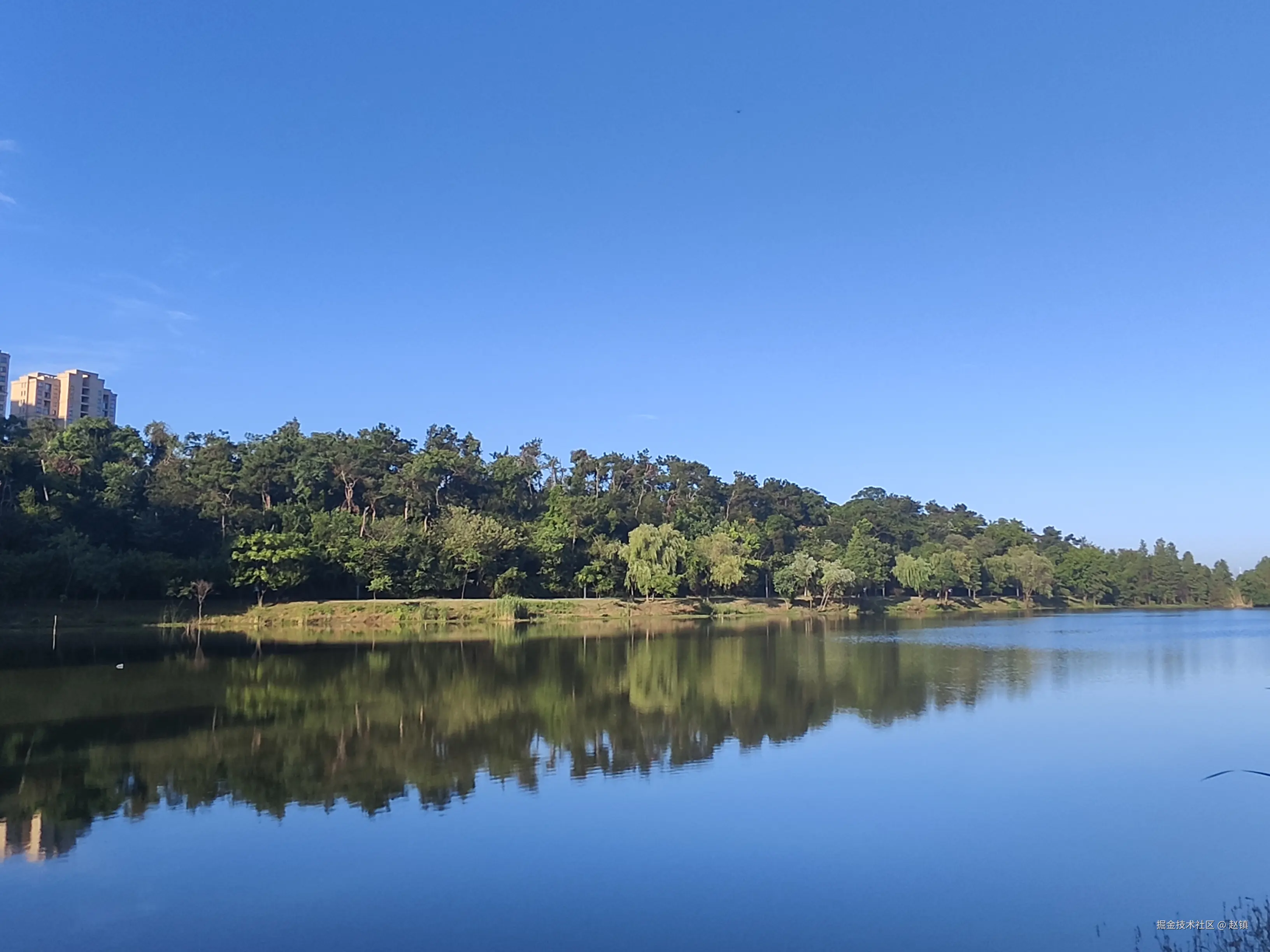 赵镇于2024-07-30 13:31发布的图片