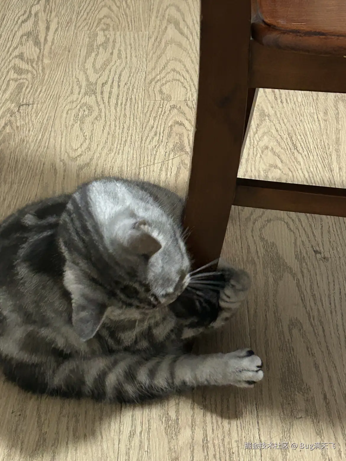 Bug满天飞于2024-09-21 08:05发布的图片