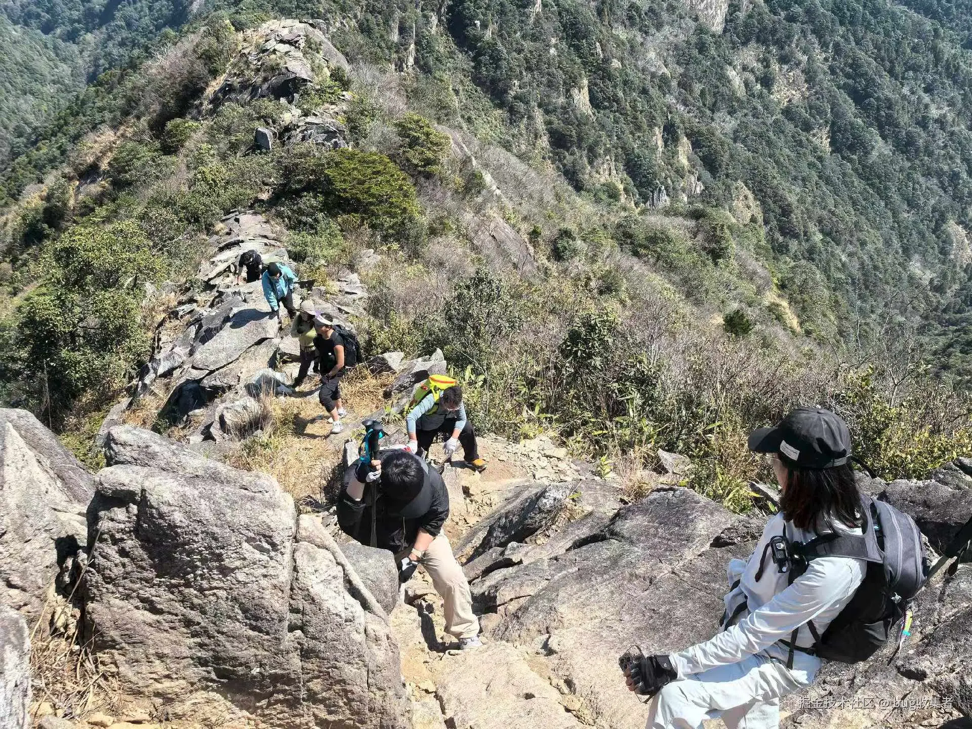 bug收集者于2026-03-16 11:07发布的图片