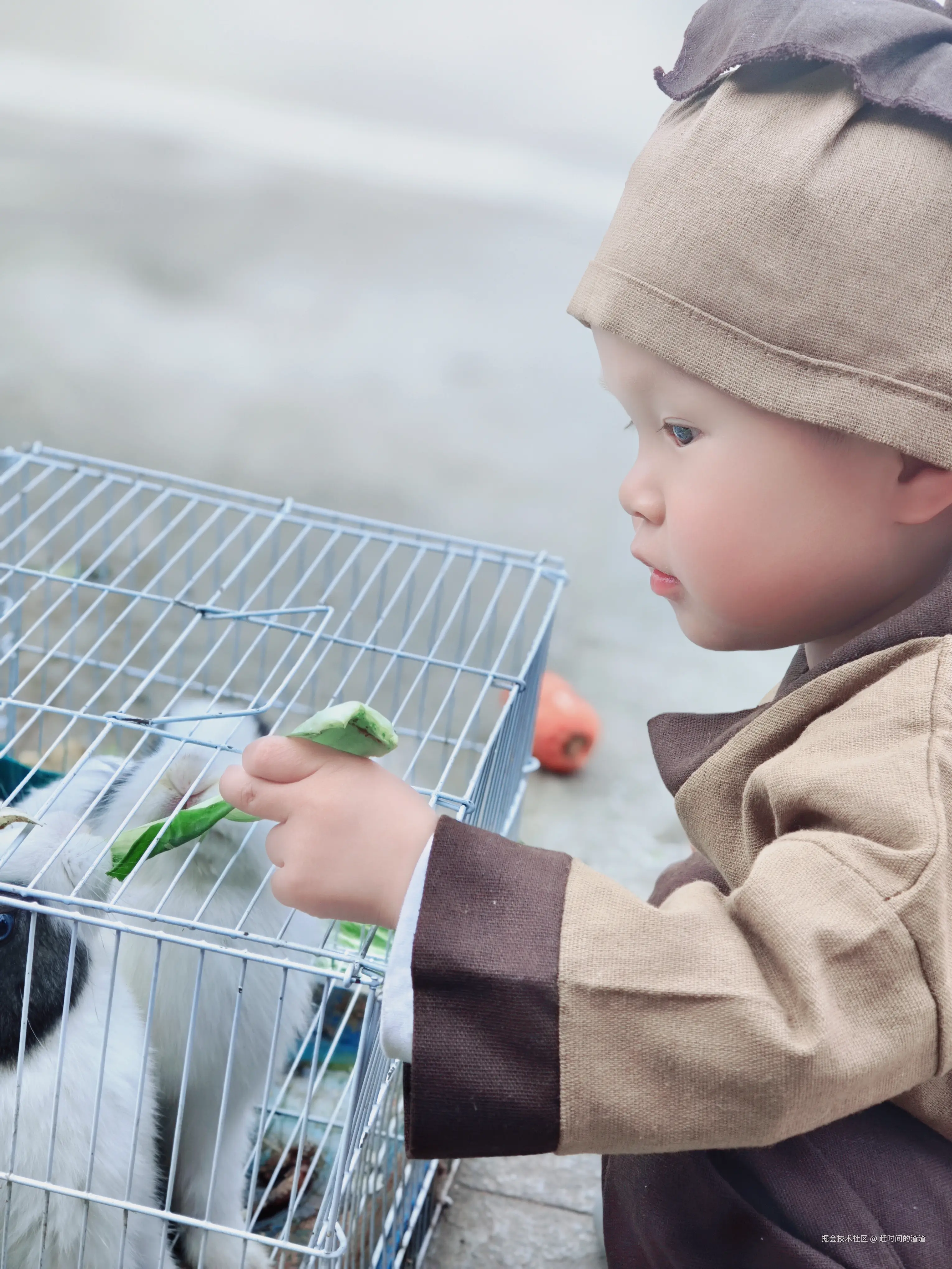 赶时间的渣渣于2025-04-07 18:02发布的图片