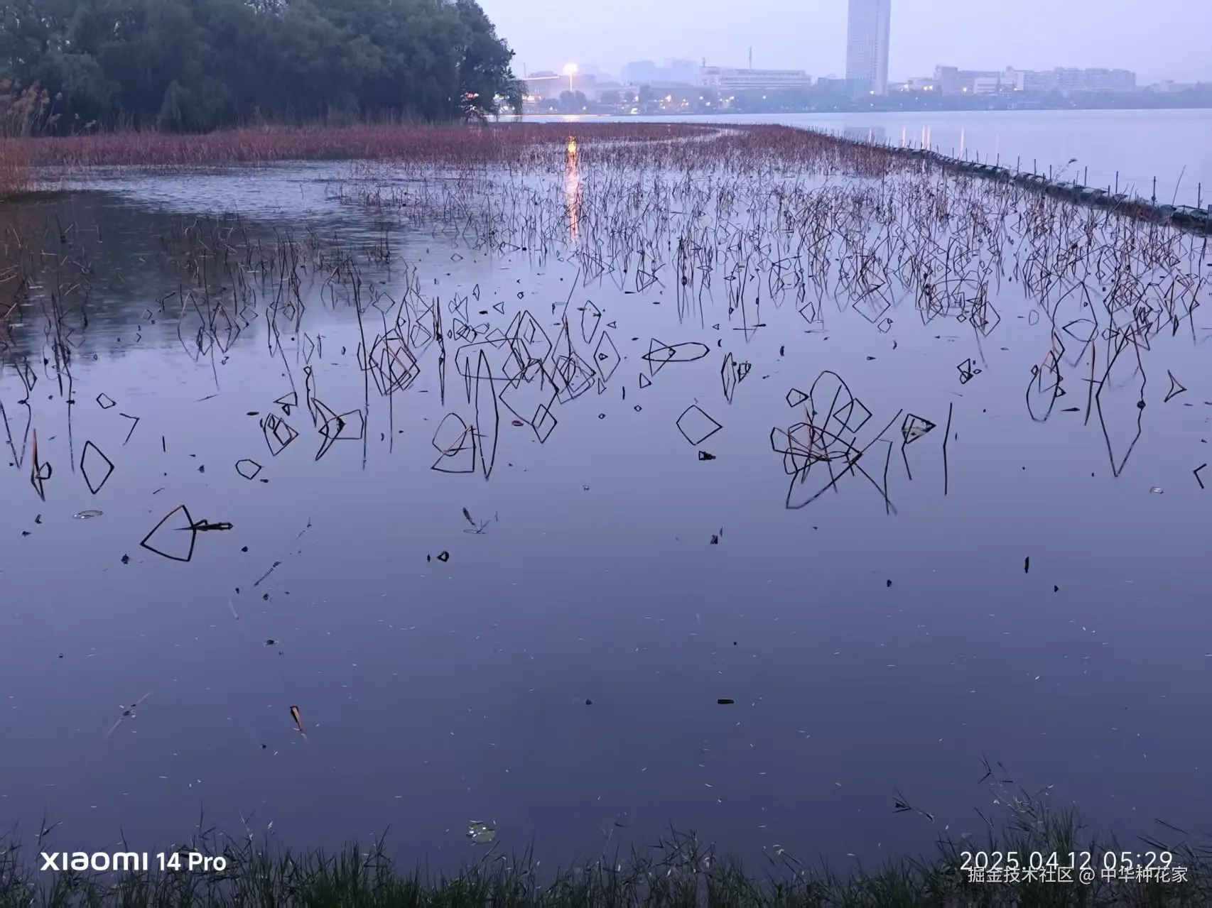 中华种花家于2025-04-14 08:44发布的图片